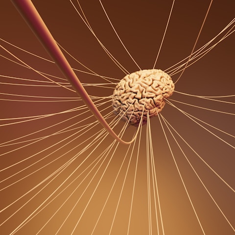 A computer generated image of a human brain