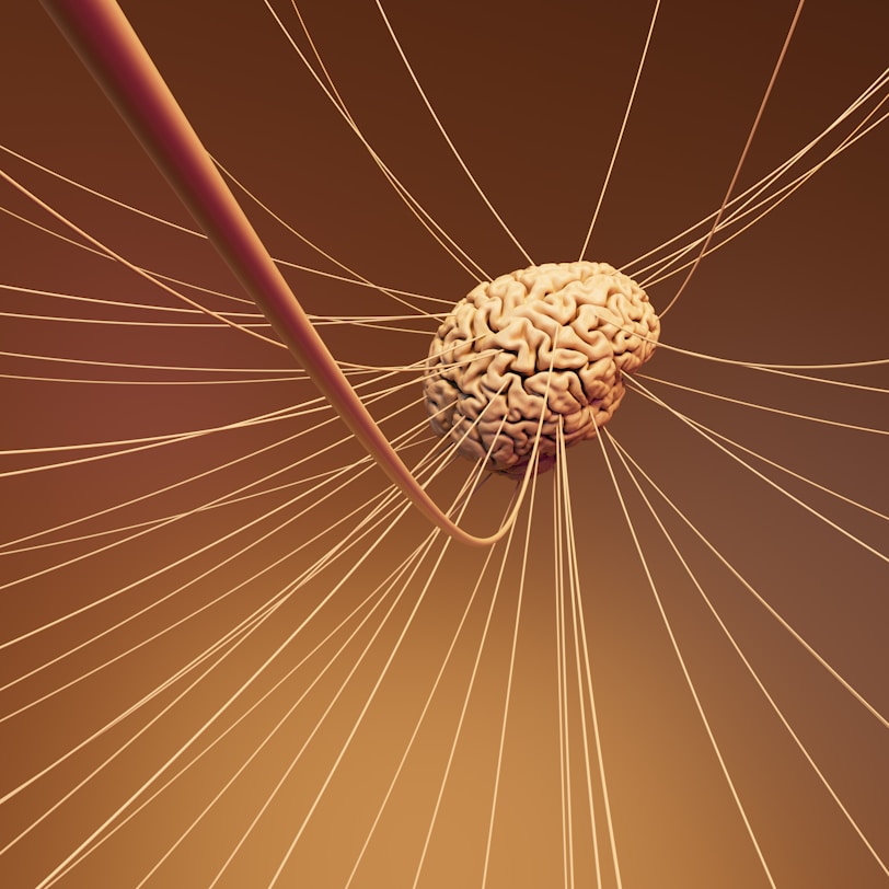 A computer generated image of a human brain