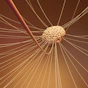 A computer generated image of a human brain