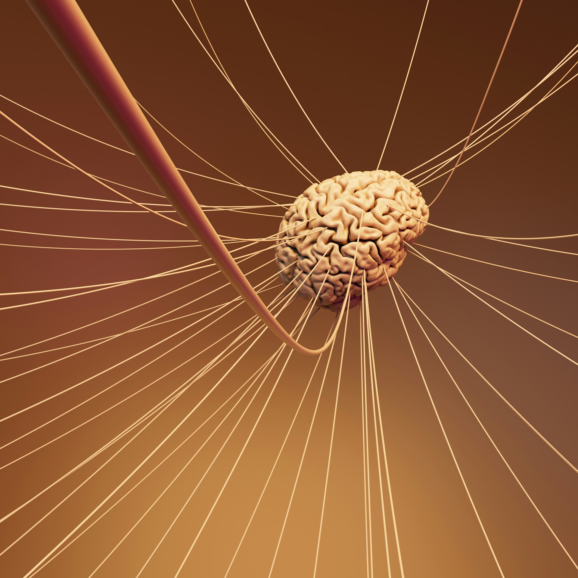 A computer generated image of a human brain