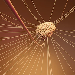 A computer generated image of a human brain