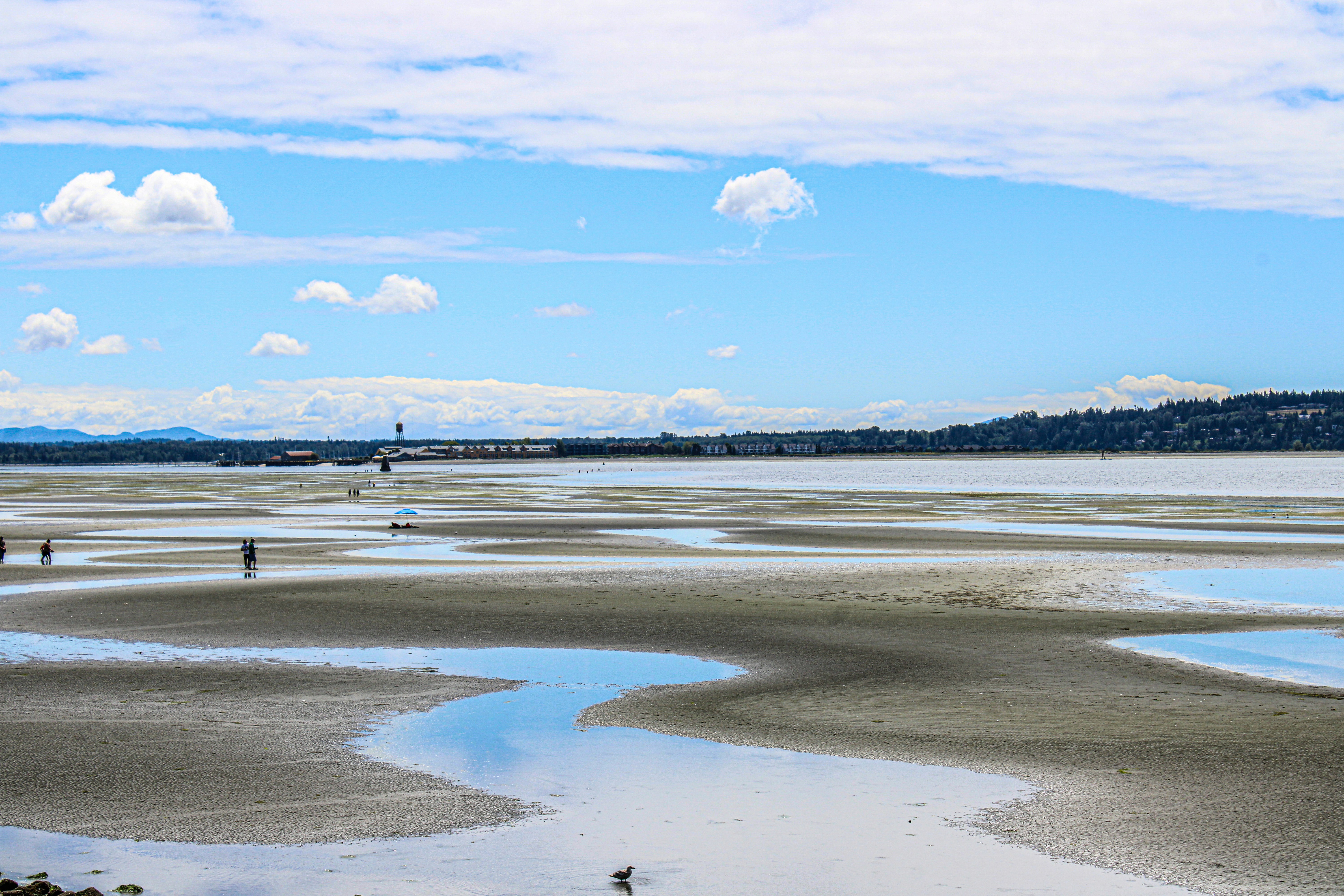 Bayview Beach view 2