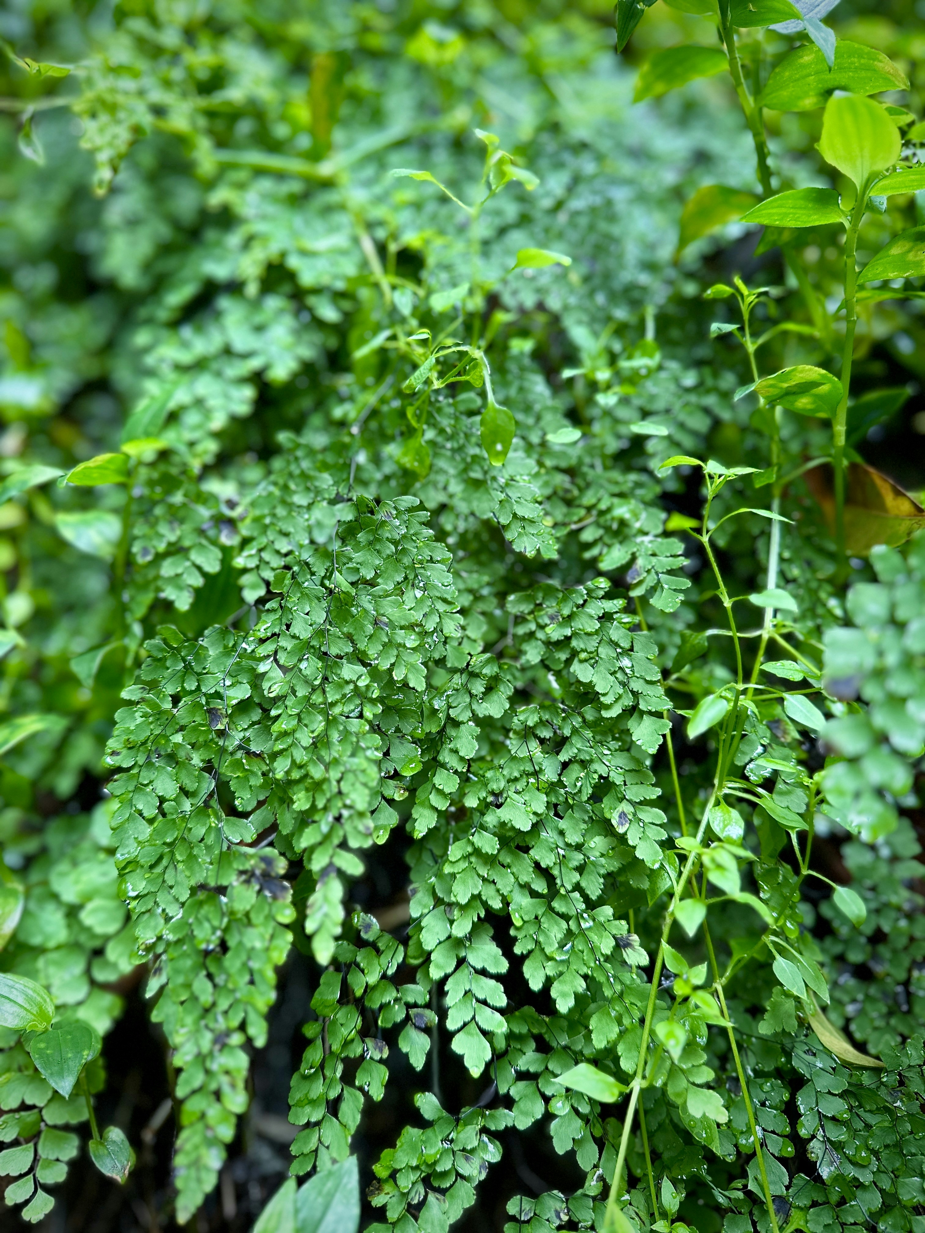 Photo by nicolajwalker