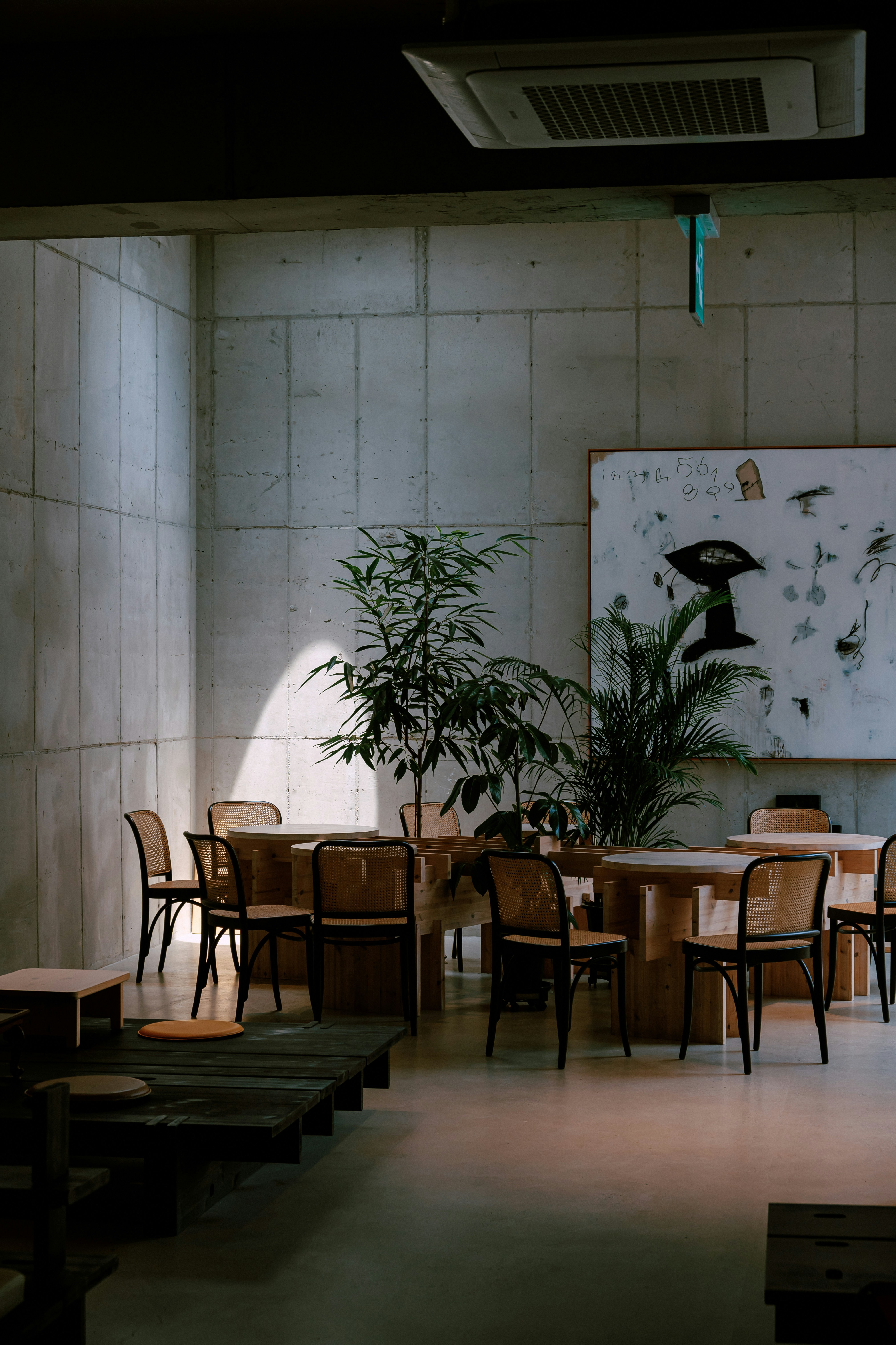 Photograph of an industrial-style interior with concrete walls, wooden tables and chairs, and potted plants clustered around a central seating area. A large whiteboard artwork on the wall adds a focal point and soft, directional light.