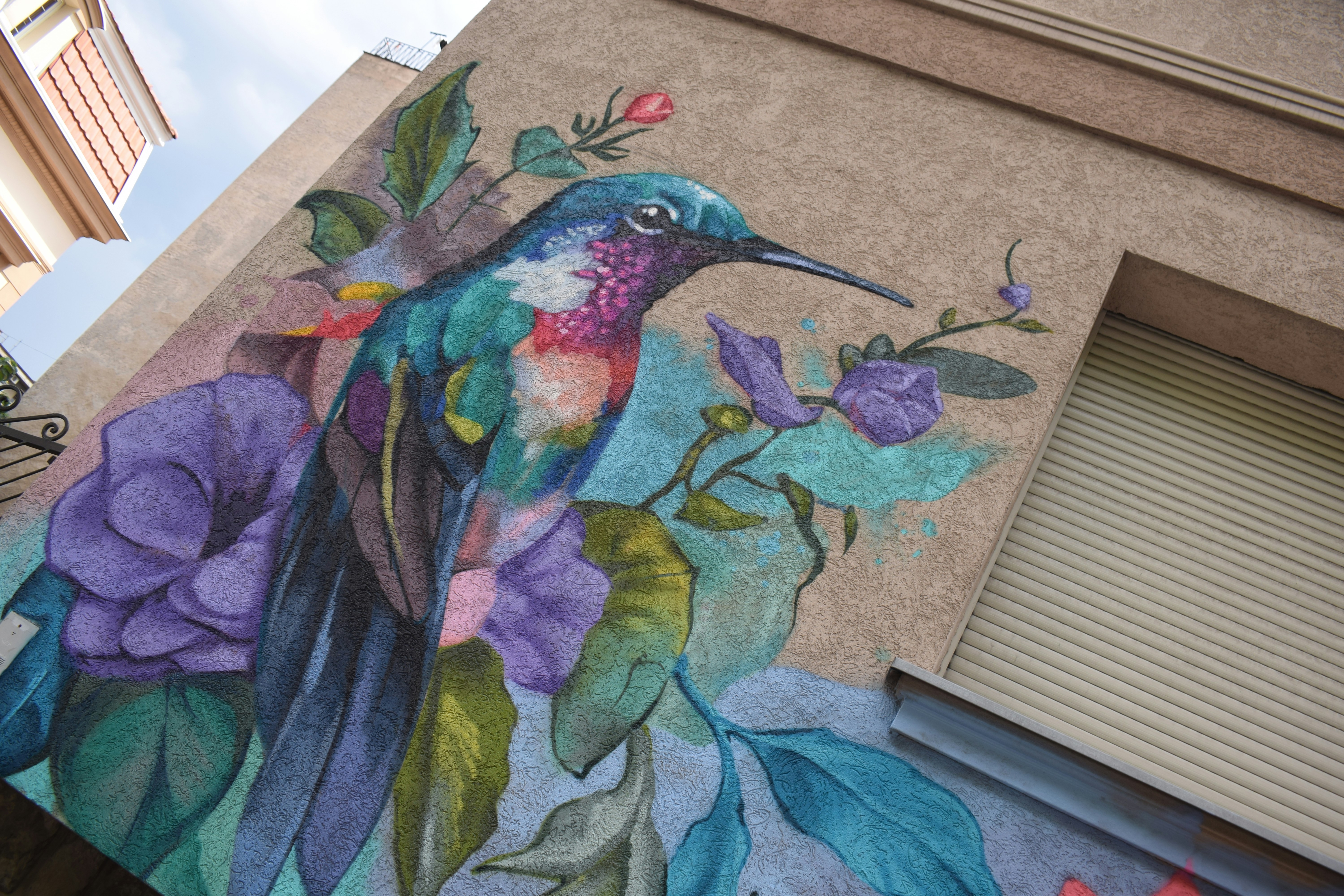 グレーと色とりどりのハチドリの壁紙の写真 – Unsplashの芸術の無料画像, image size:3000x2000