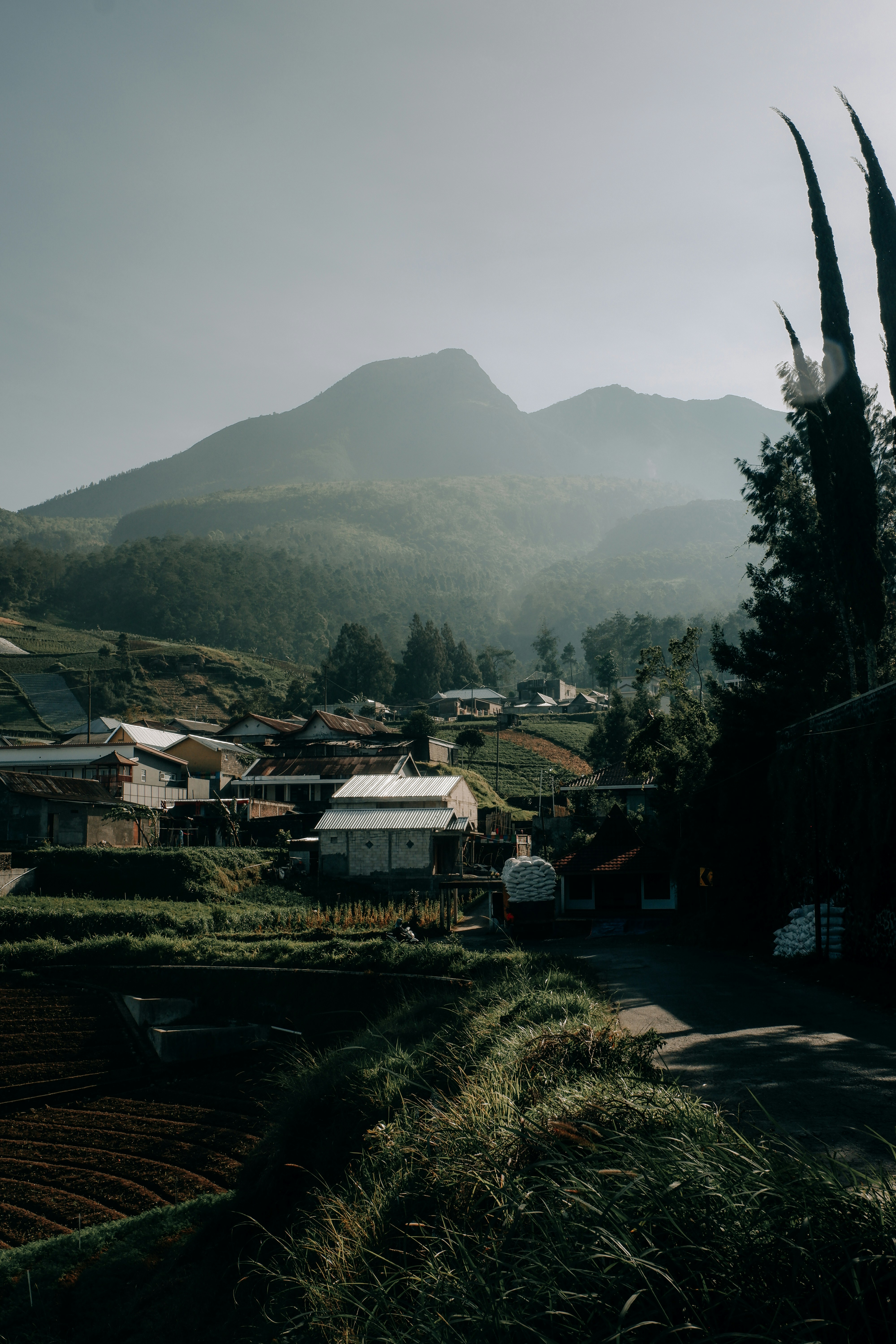Choose from a curated selection of mountain photos. Always free on Unsplash.