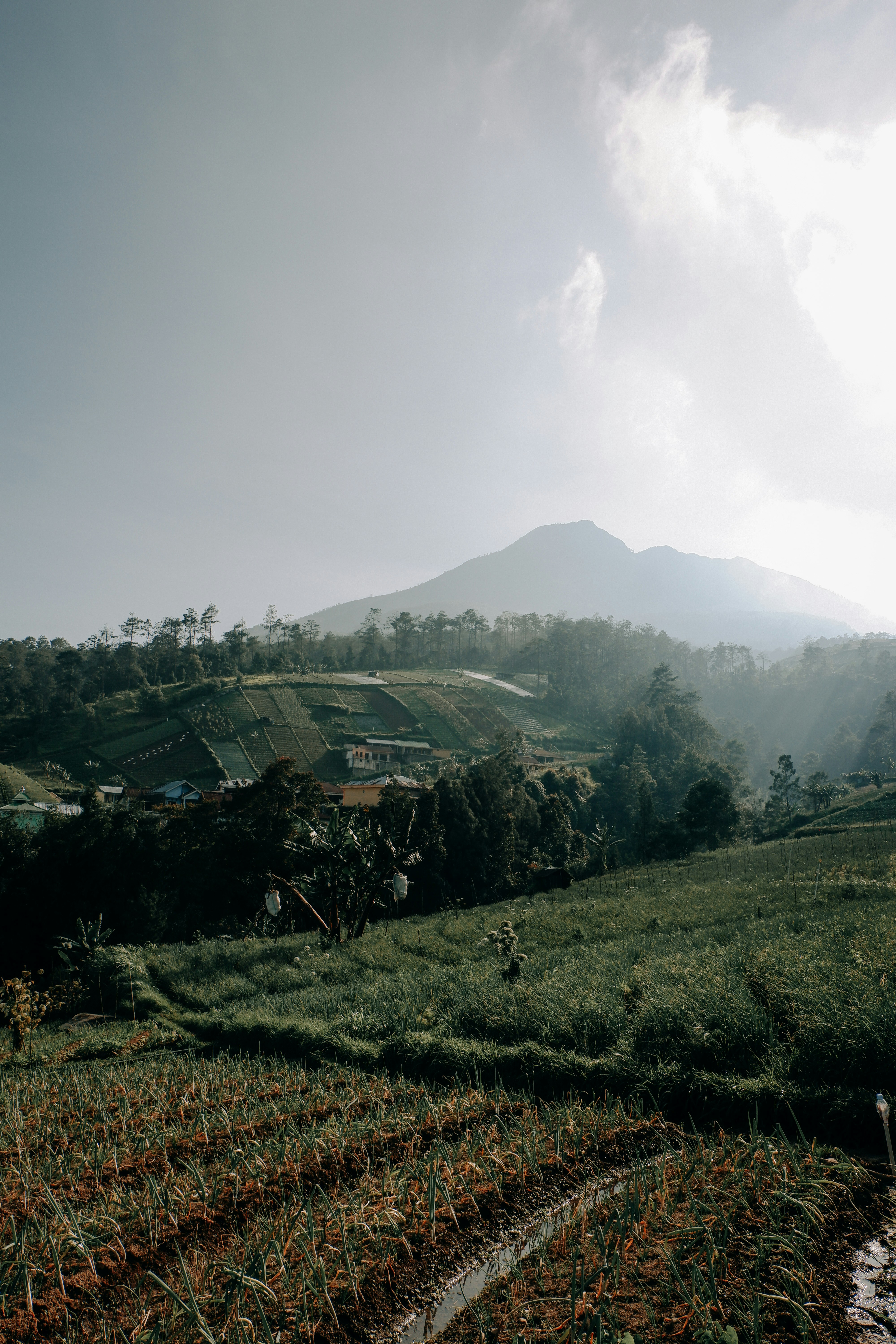 Photo by jepretualang