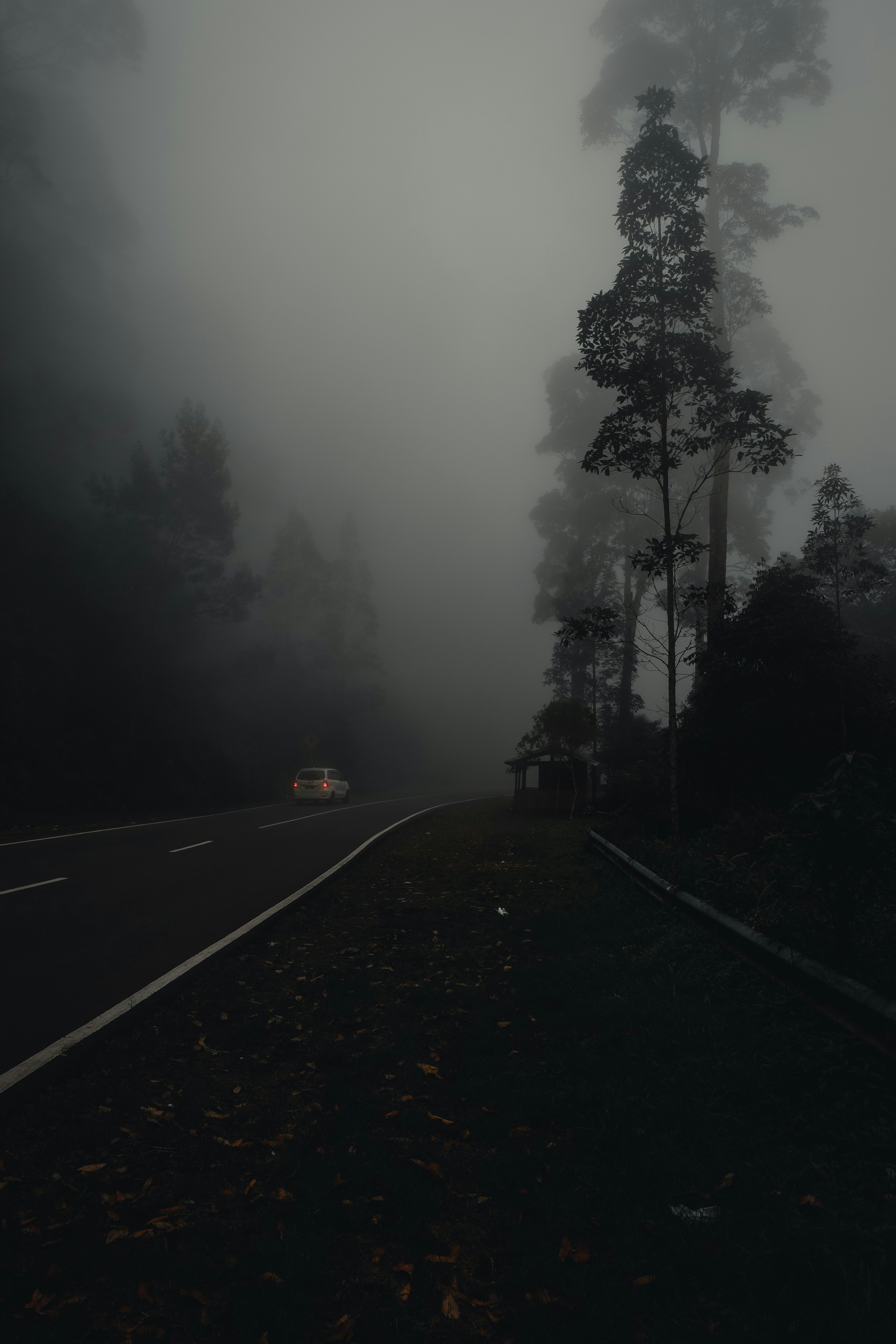 Photo by jepretualang