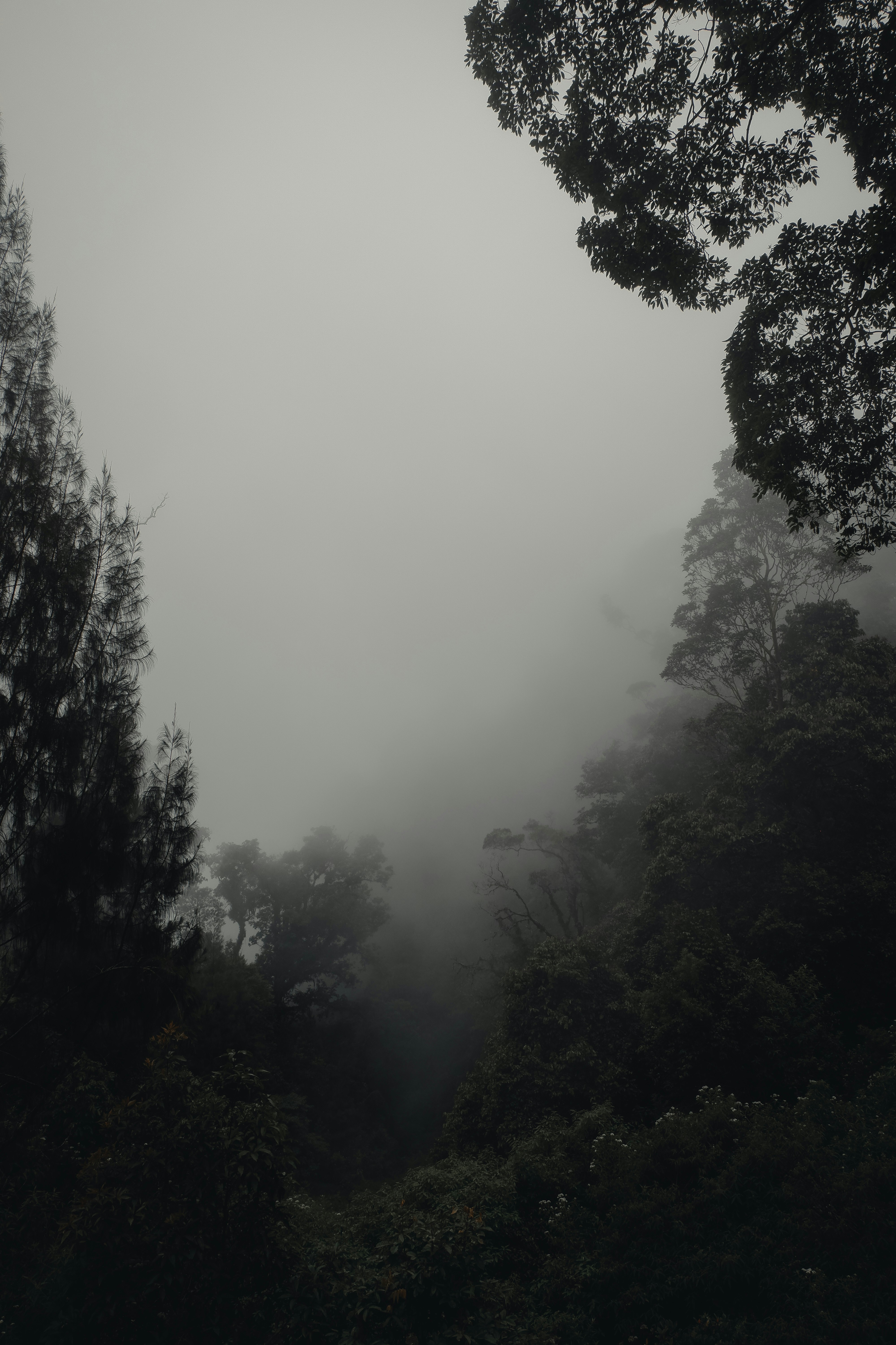 Photo by jepretualang