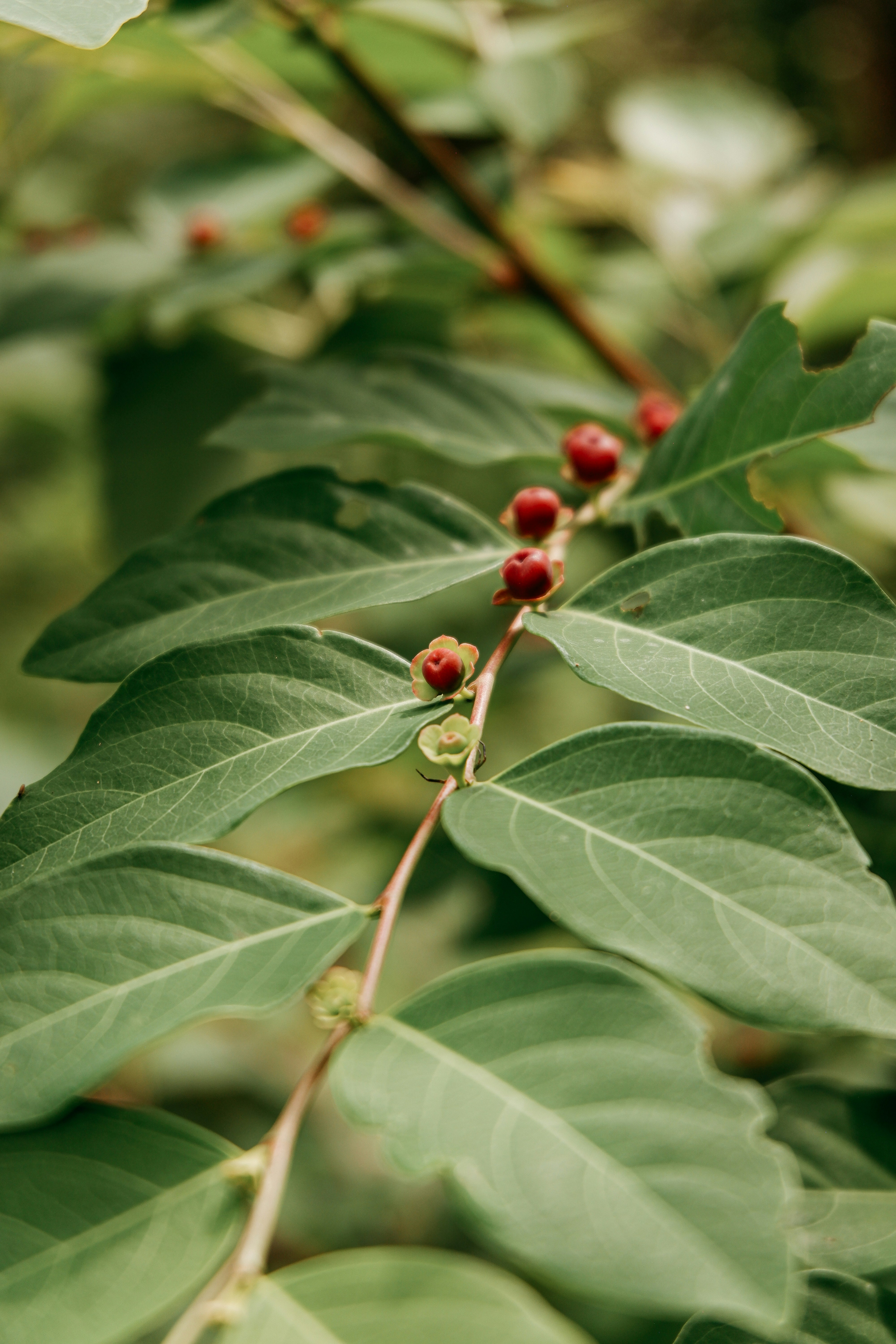 Photo by jepretualang