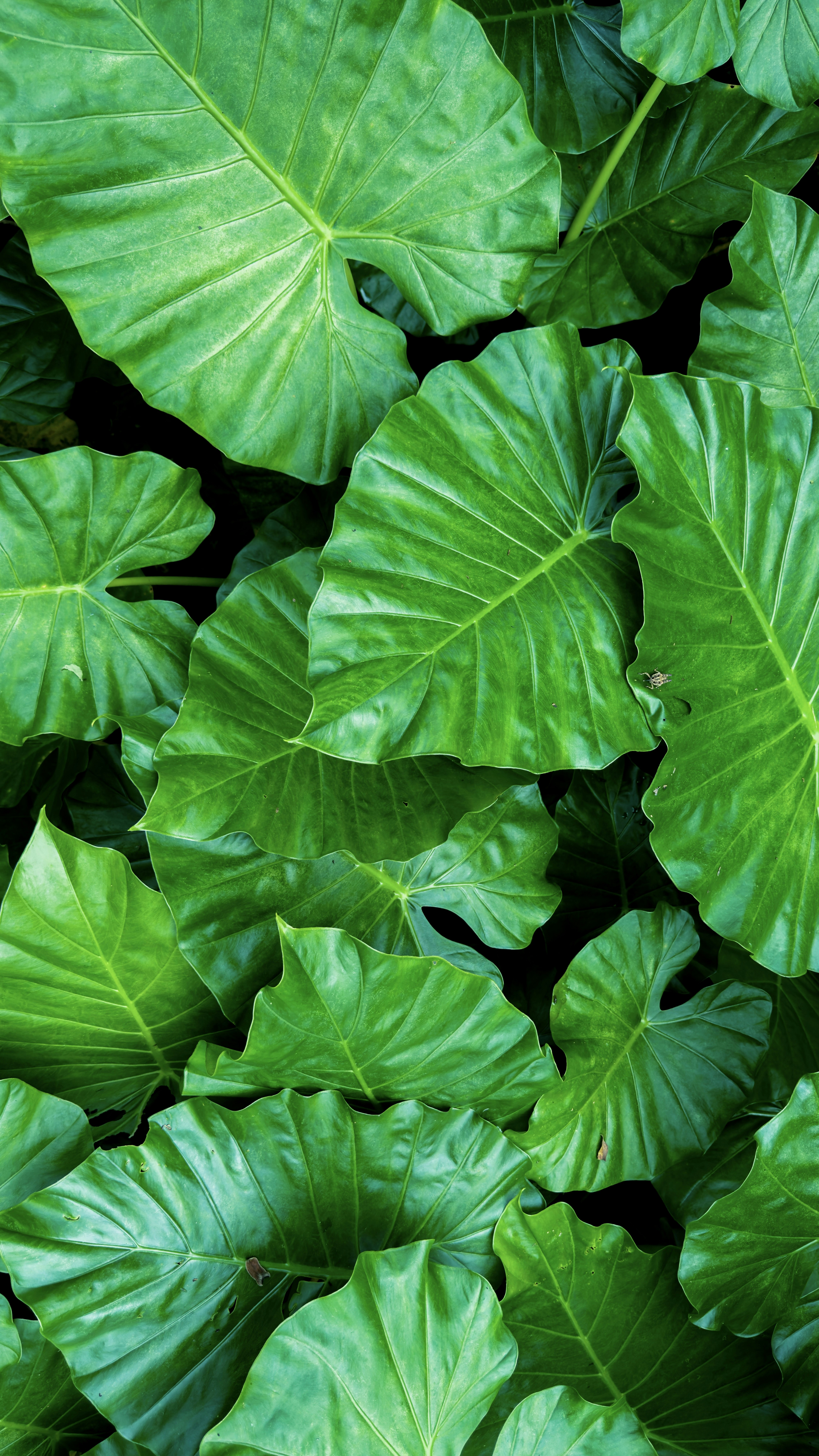 Photo by minima_studio