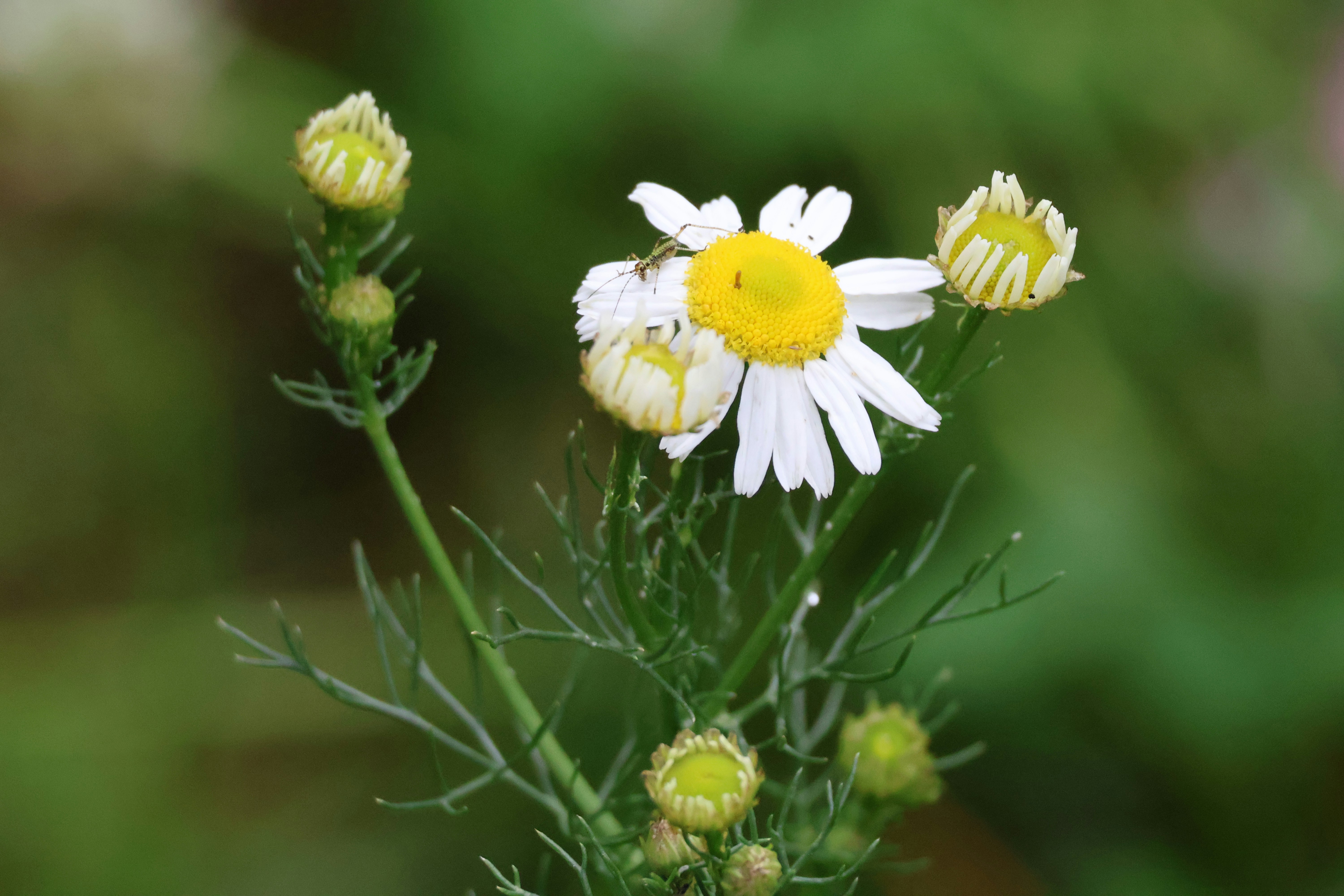 Photo by shooter__andy