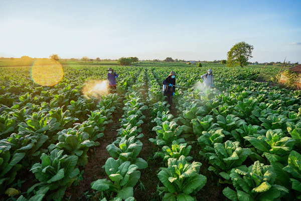 Fungicides