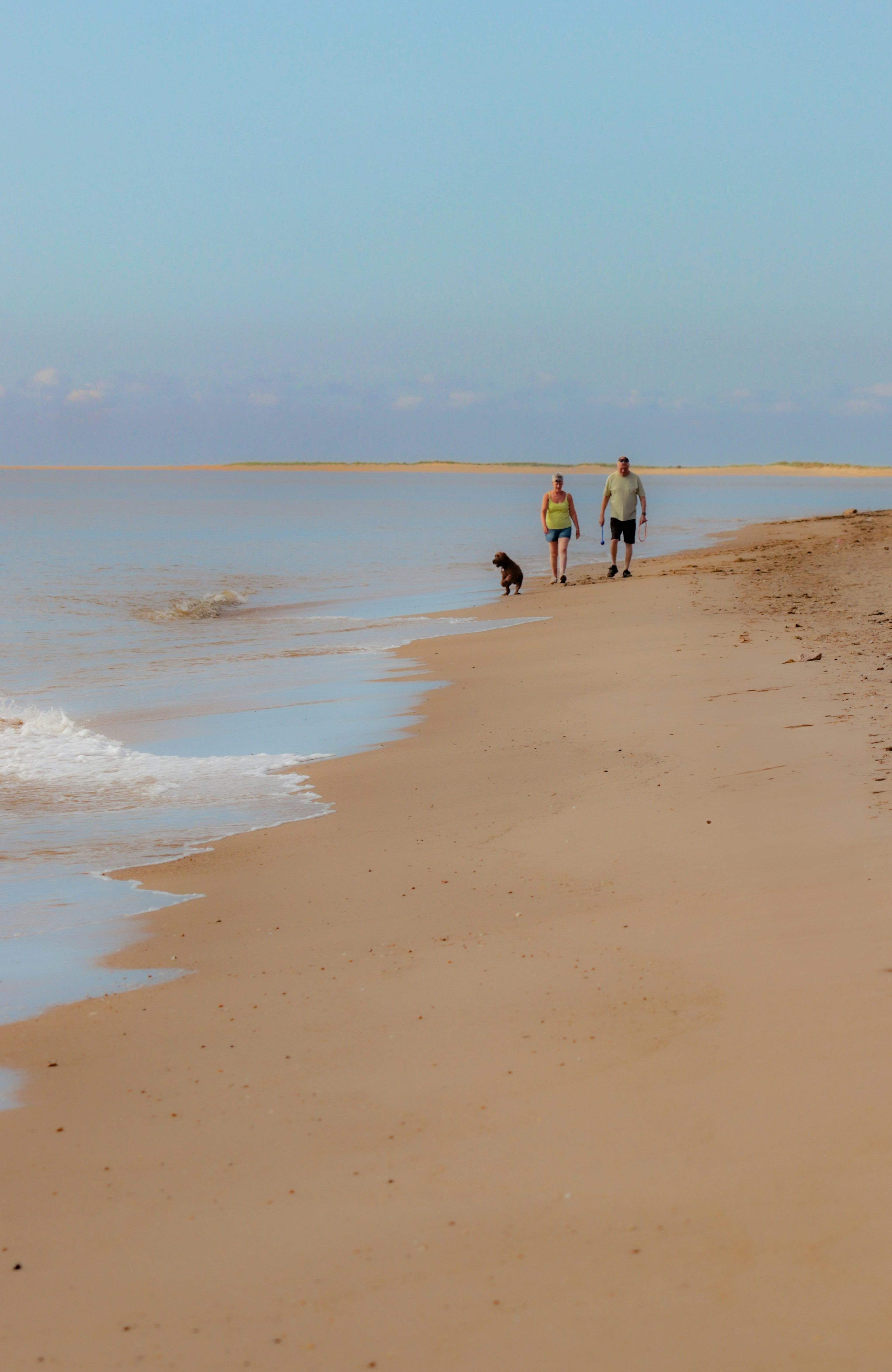 Dos personas y un perro paseando por una playa