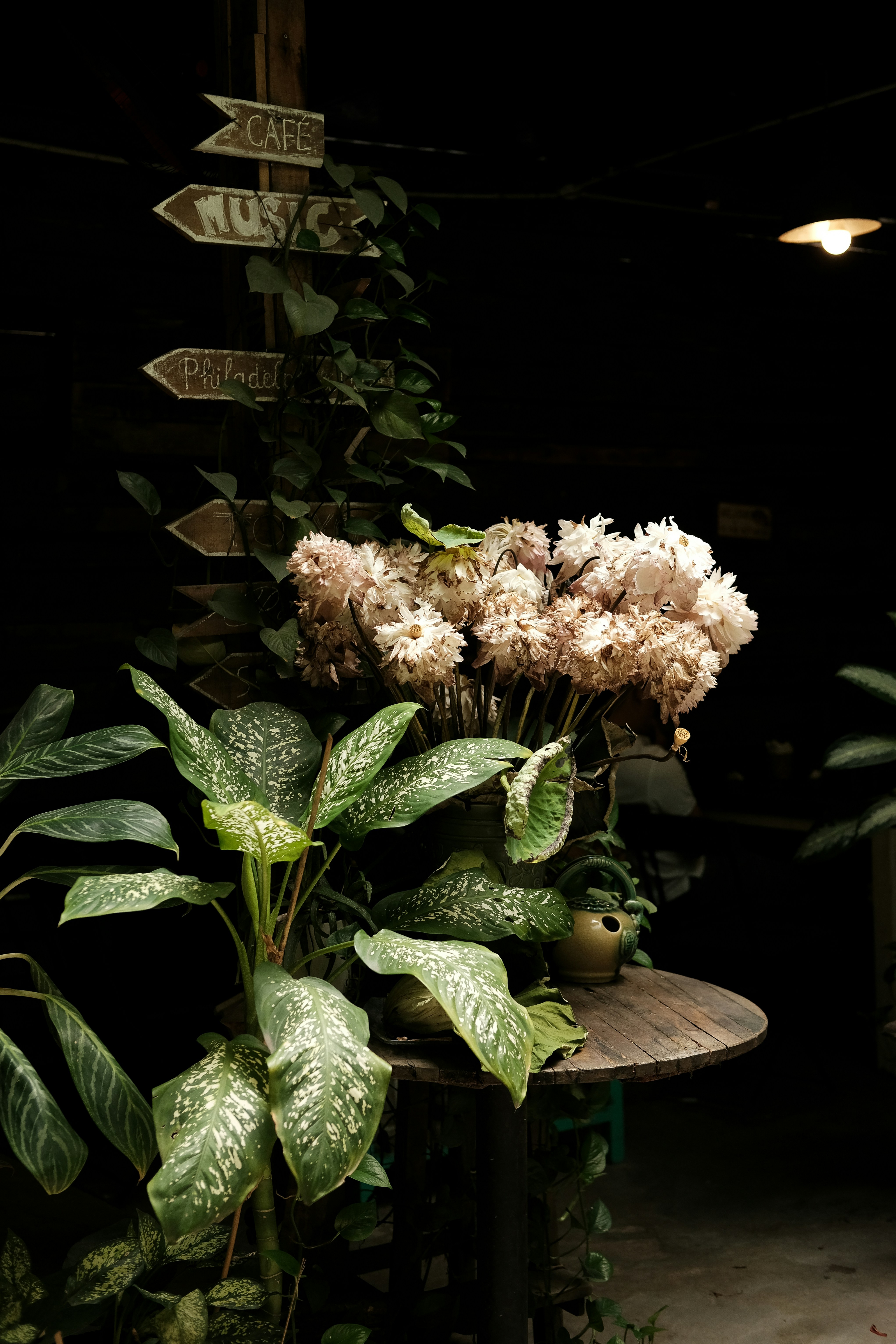 Photo by nganduong93