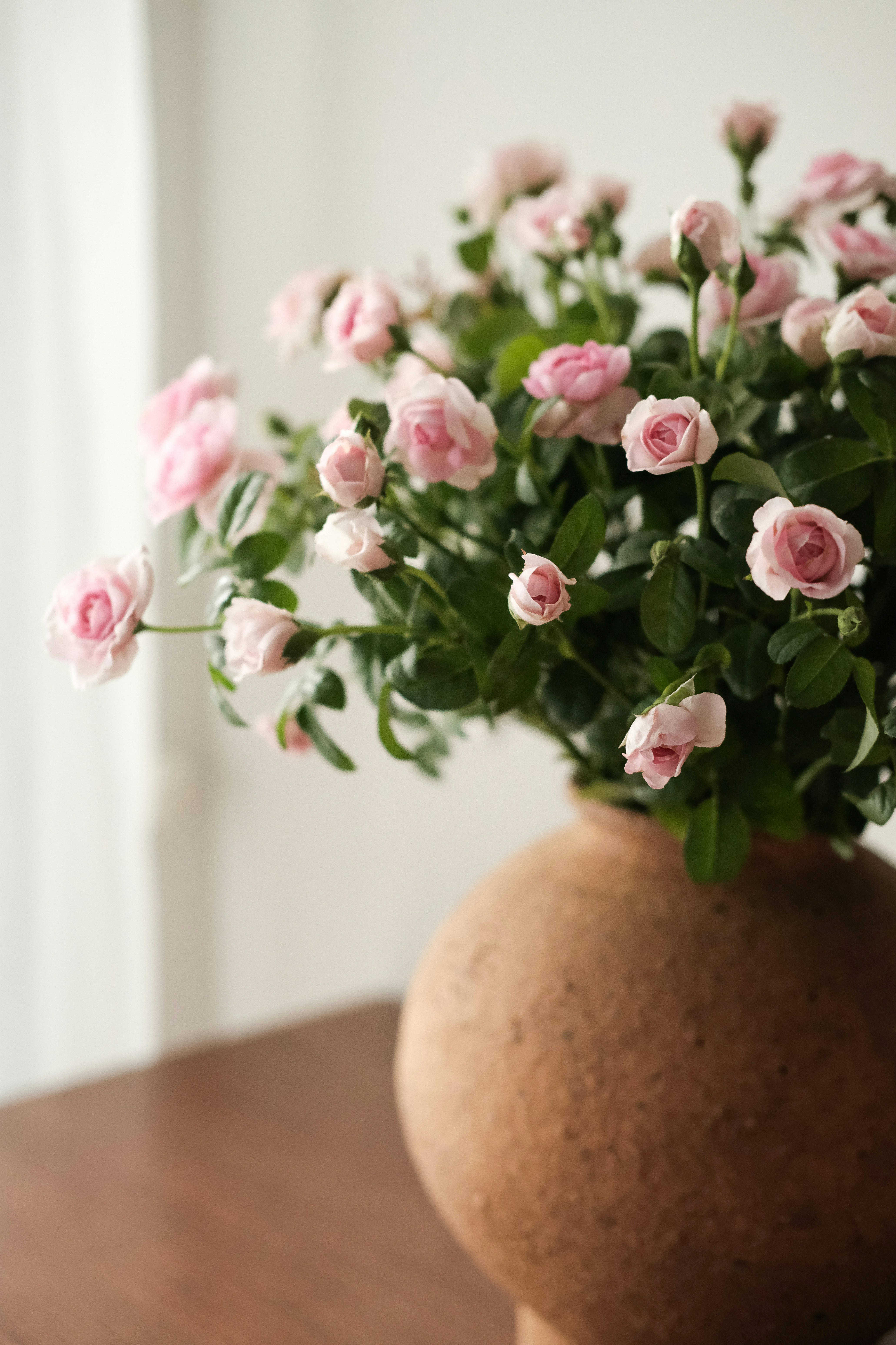 Photo by nganduong93