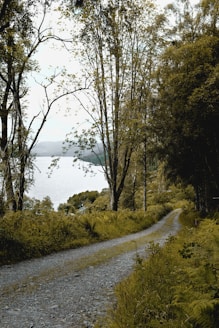 Gravel road leading to a lake, illustrating year-round waterfront access.