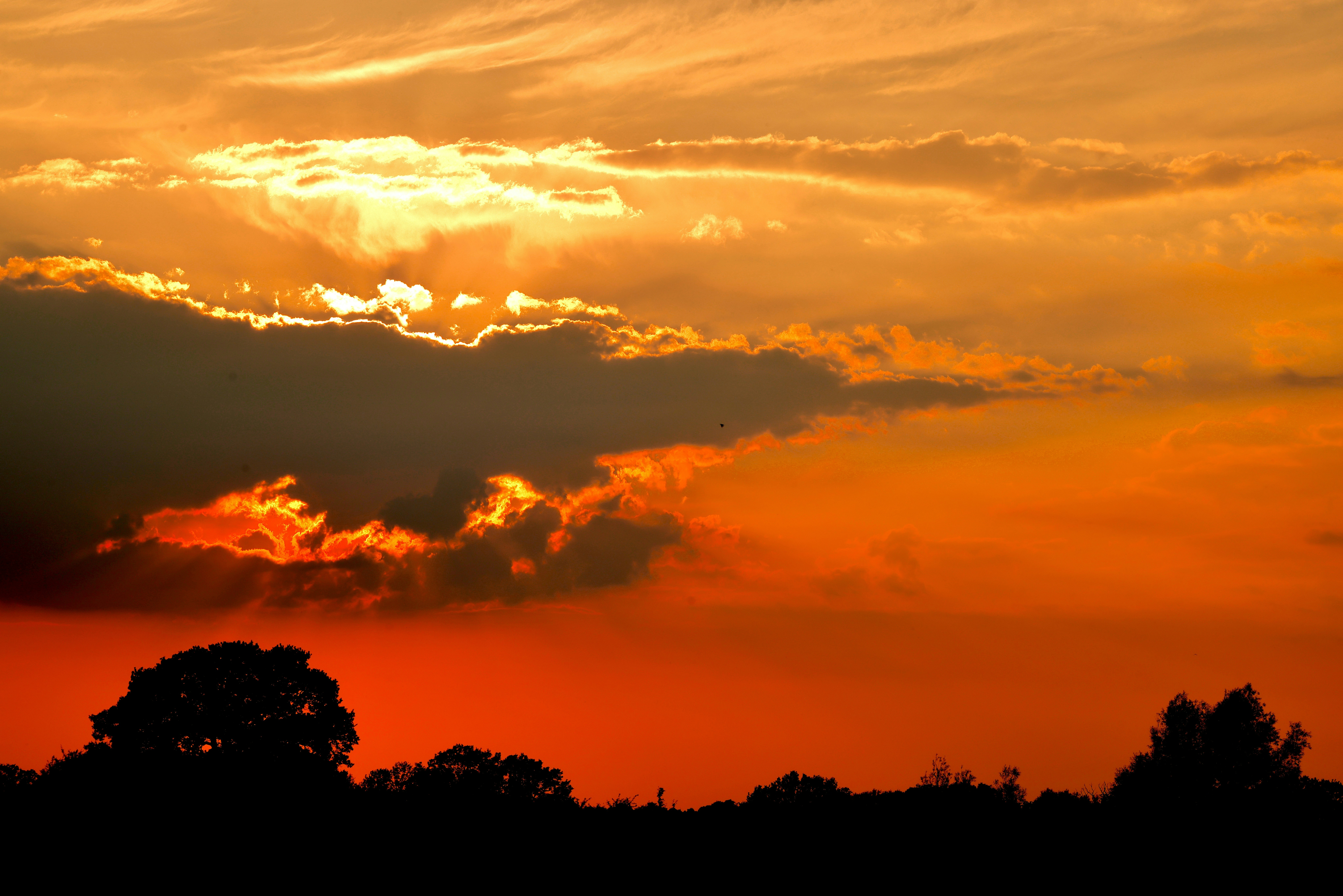 A red and yellow sky with clouds and trees photo – Free Nature Image on ...