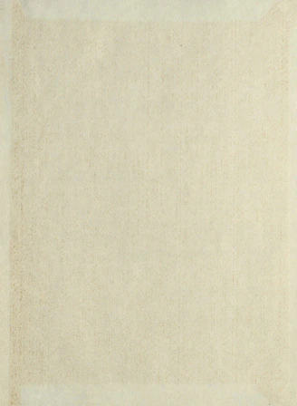 A beige rug with a white border on top of it