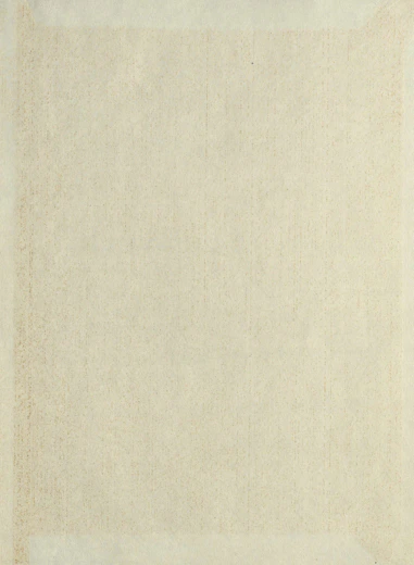 A beige rug with a white border on top of it