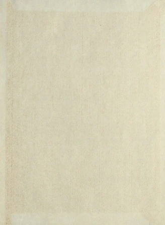 A beige rug with a white border on top of it