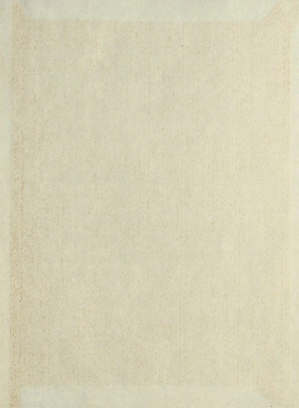 A beige rug with a white border on top of it