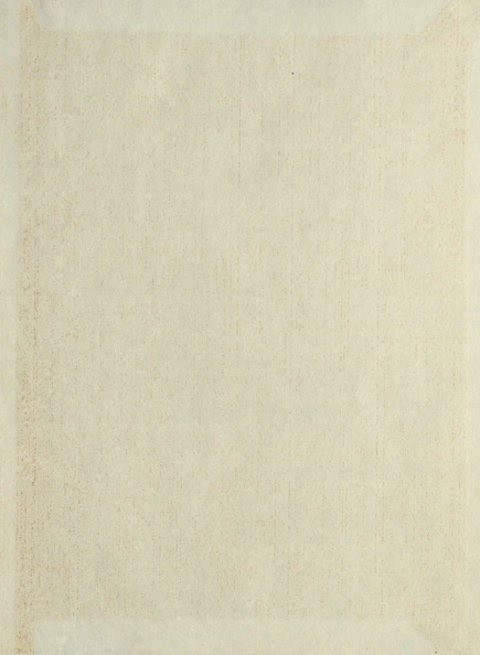 A beige rug with a white border on top of it
