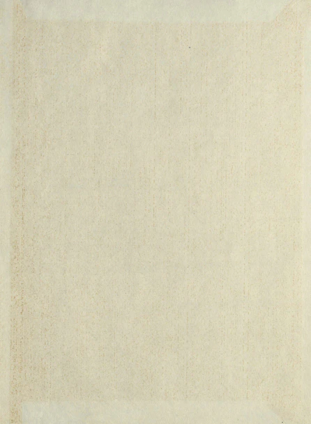 A beige rug with a white border on top of it