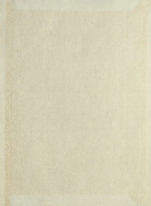 A beige rug with a white border on top of it
