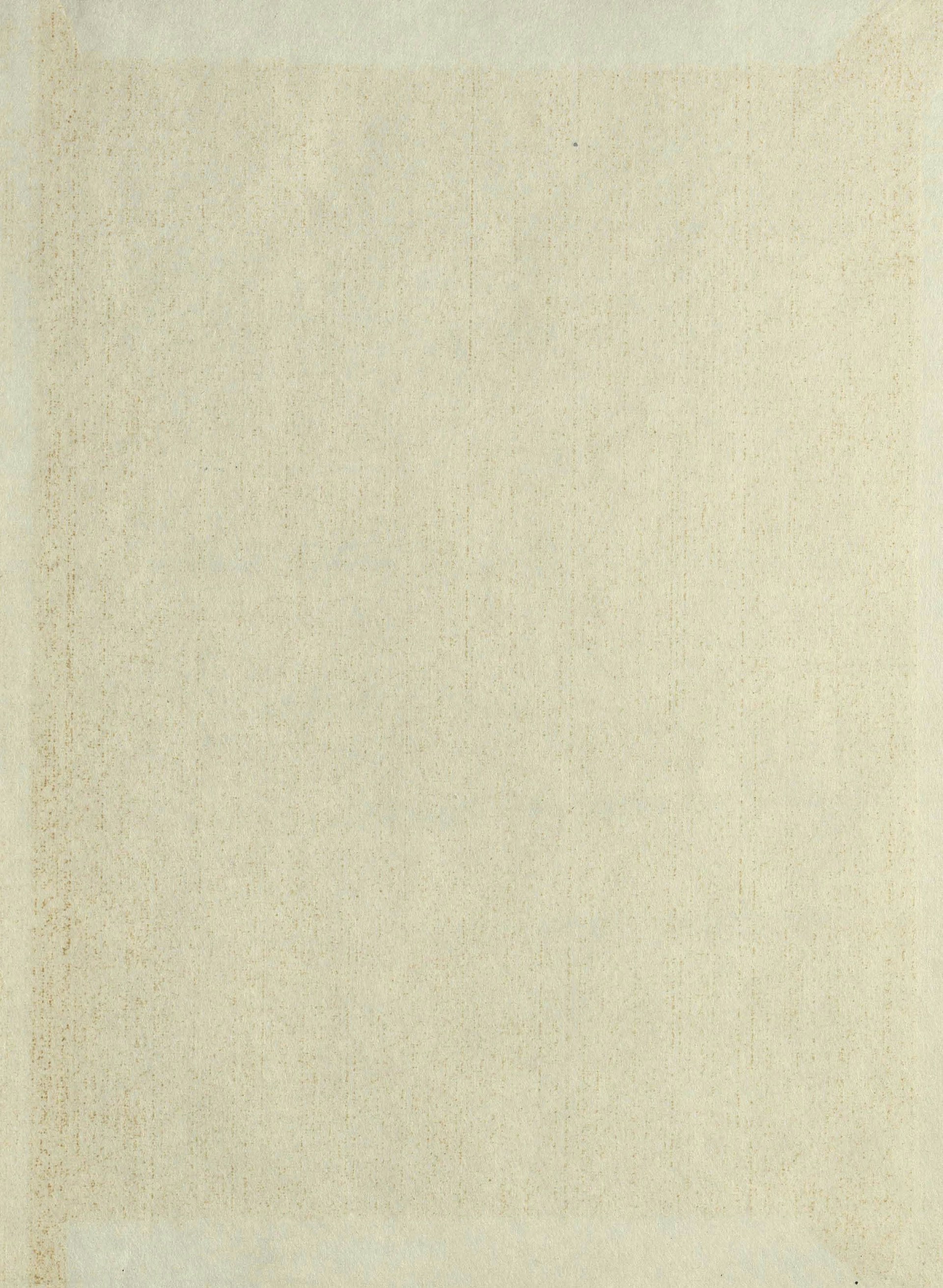 A beige rug with a white border on top of it