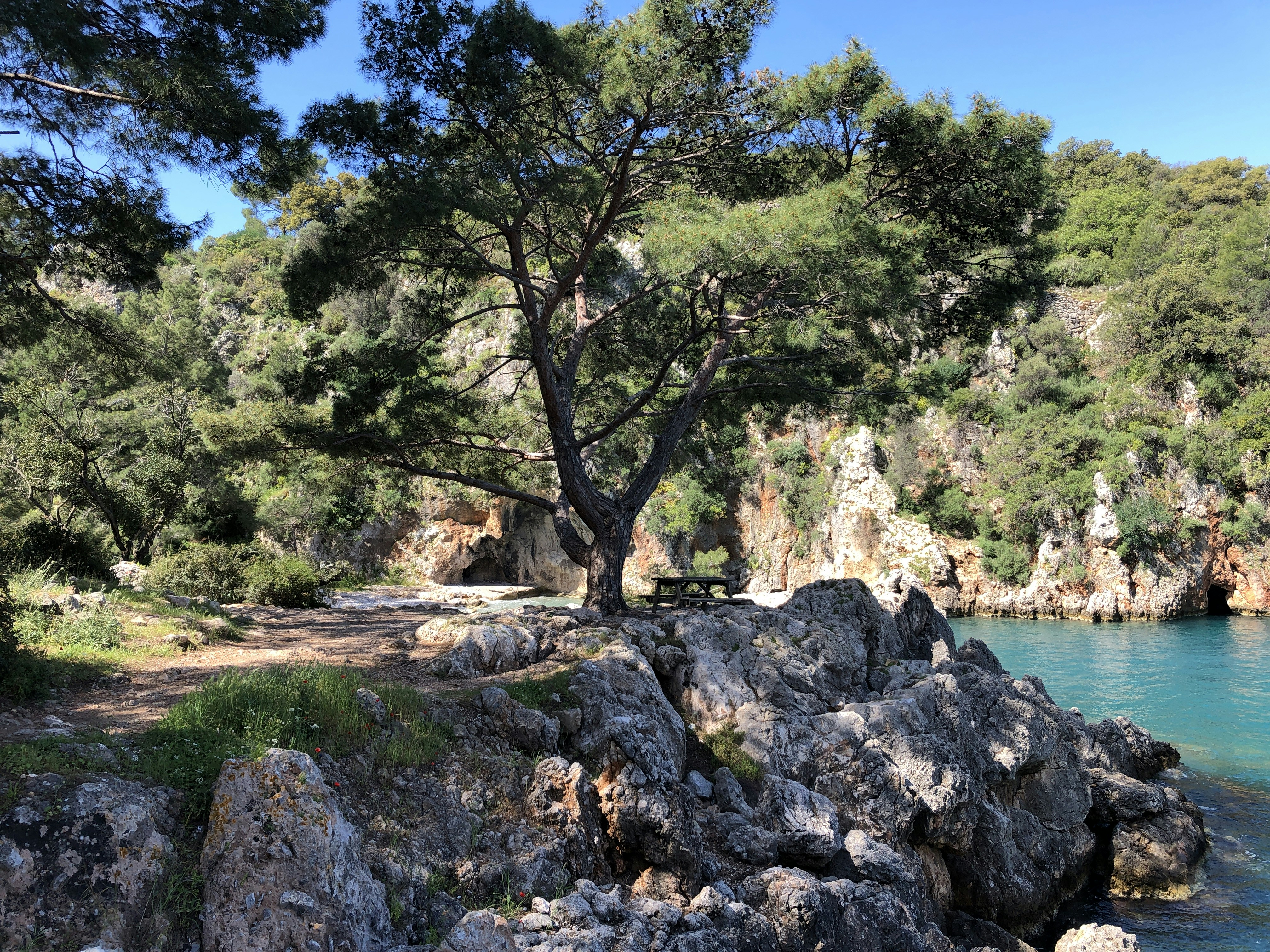 A body of water surrounded by trees and rocks