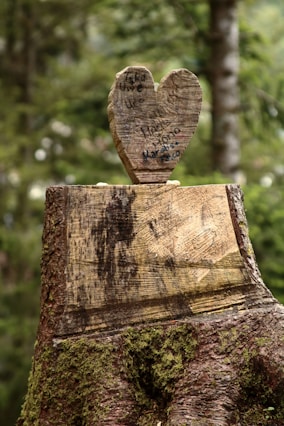 A tree stump with a carved heart on top of it