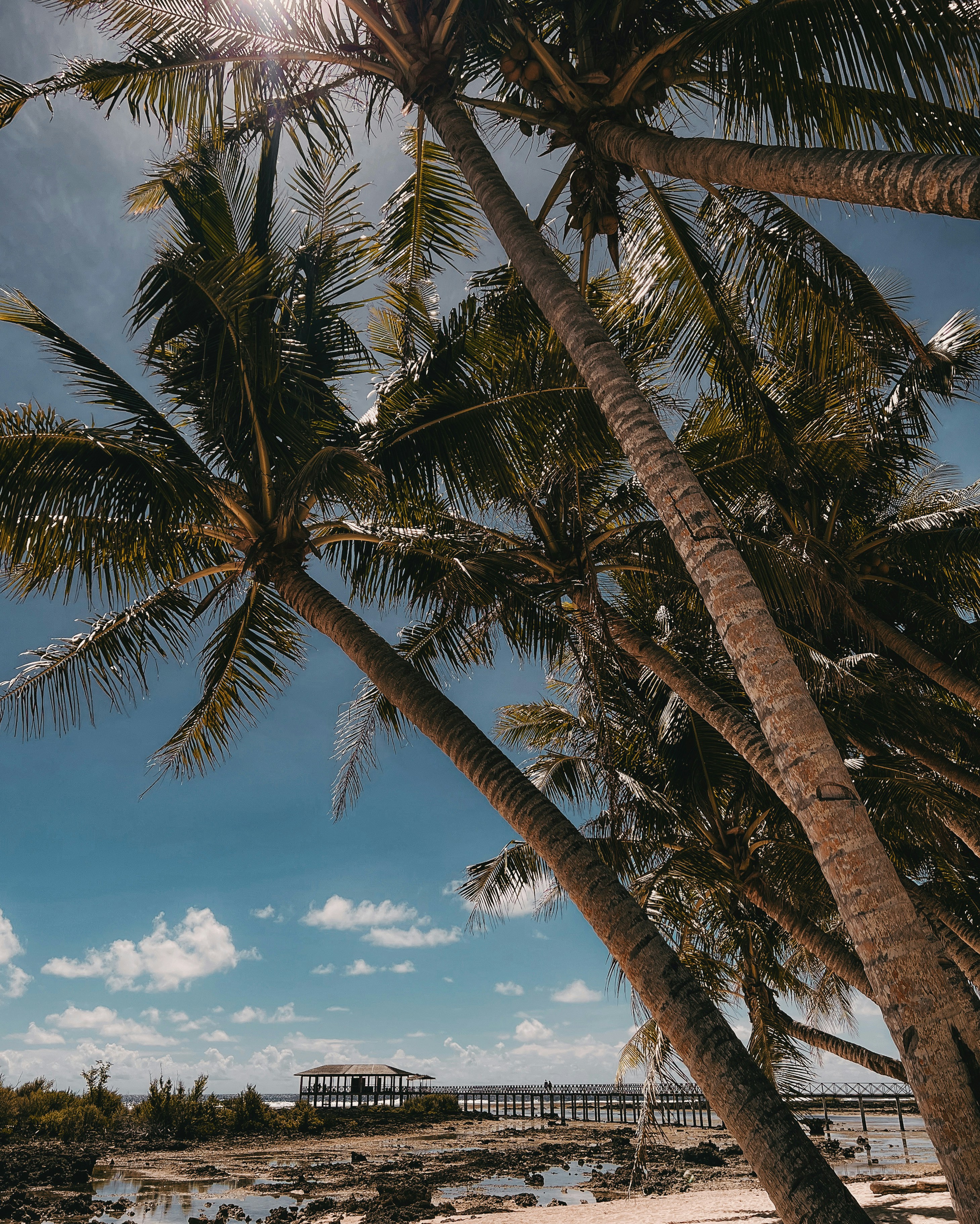 Photo by harveyenrile