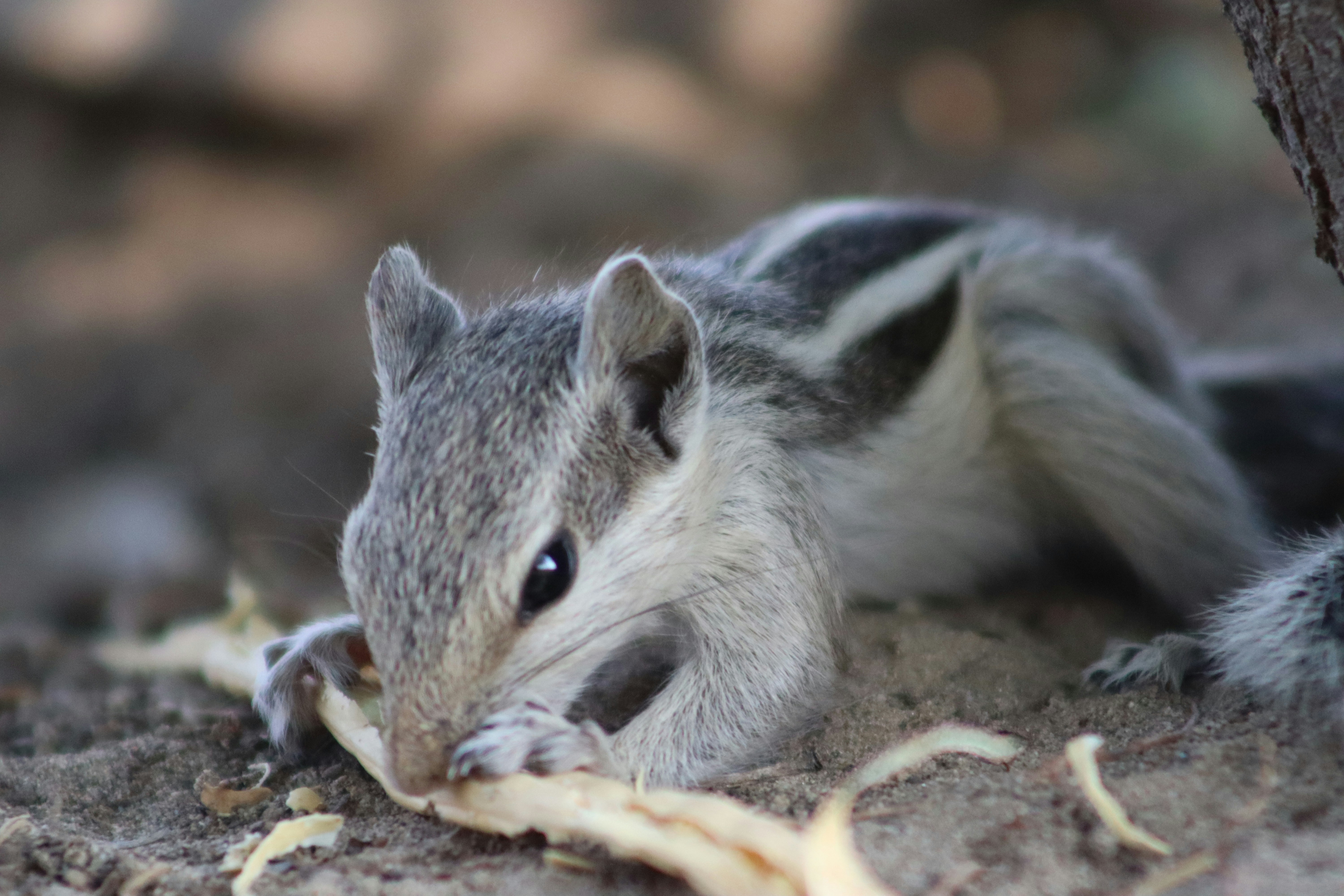 Photo by drphotographer152