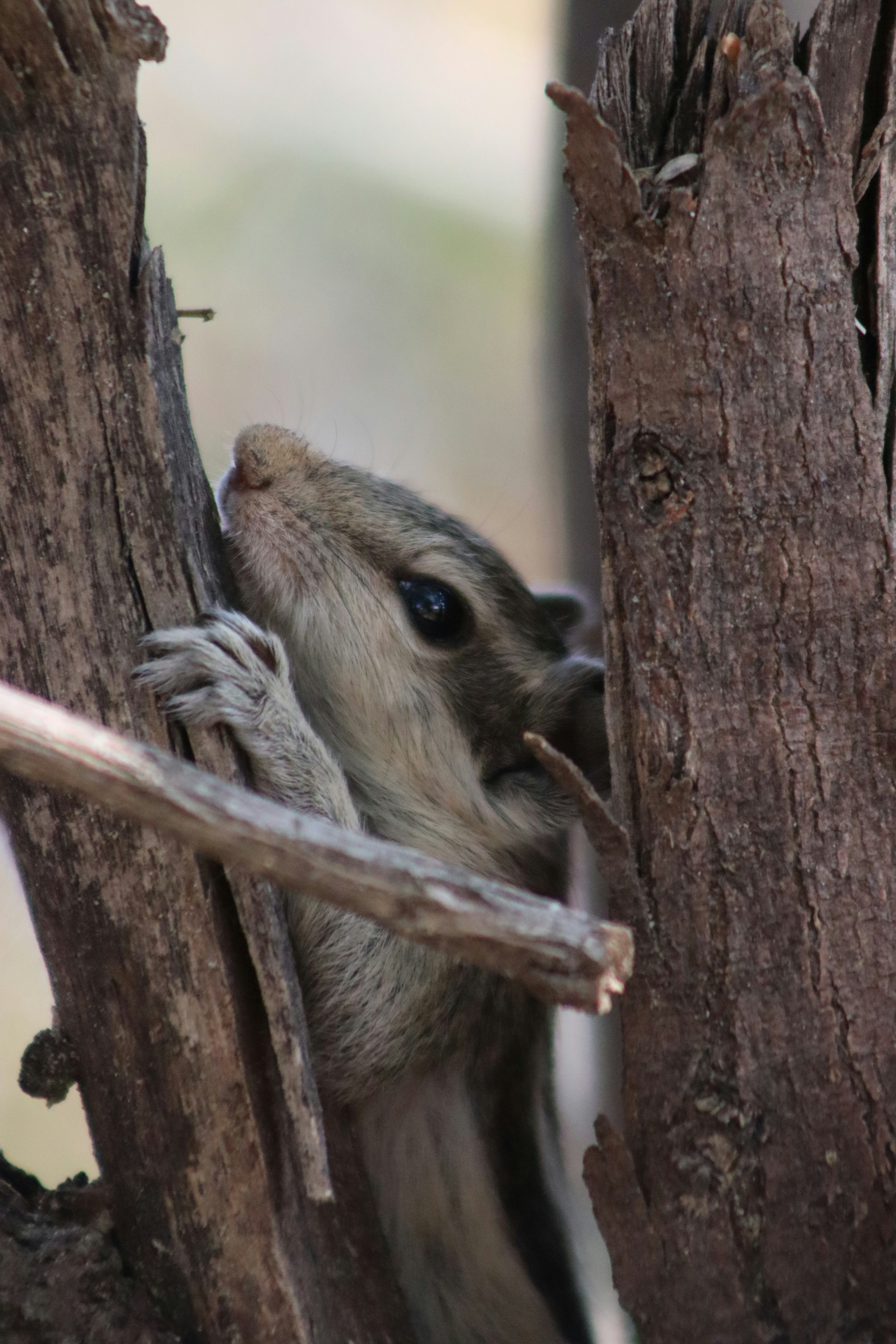 Photo by drphotographer152