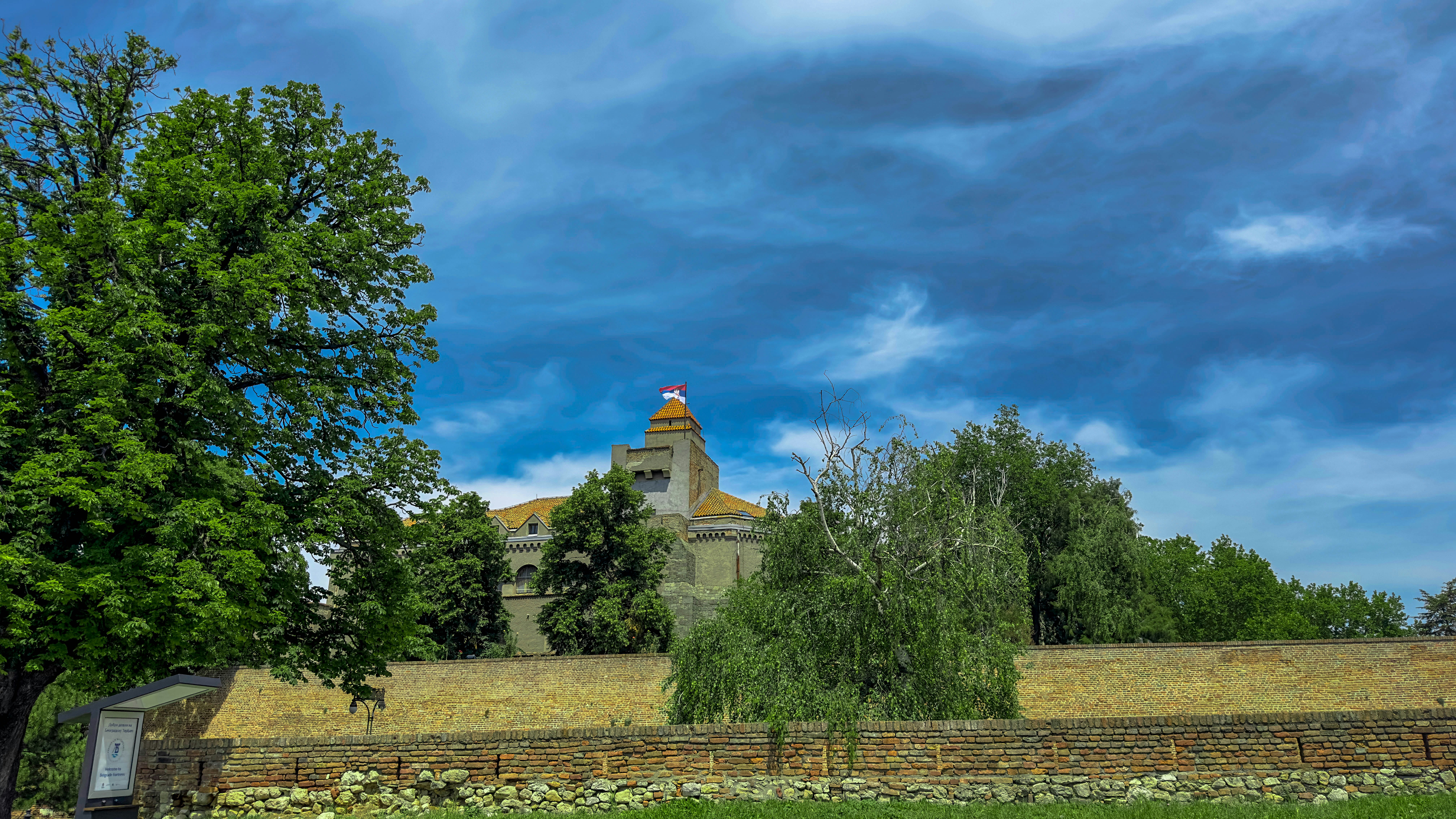 A bench sitting in the grass near a tree