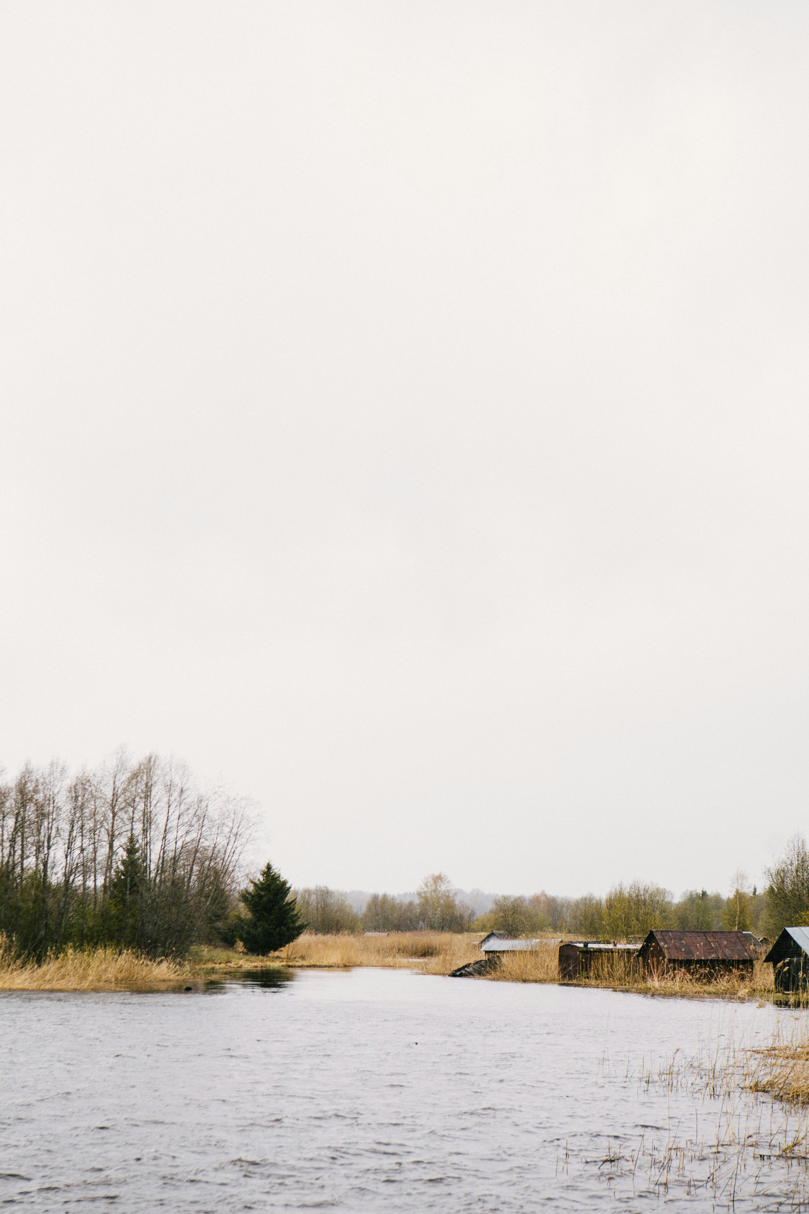 Photo by korobovaphoto