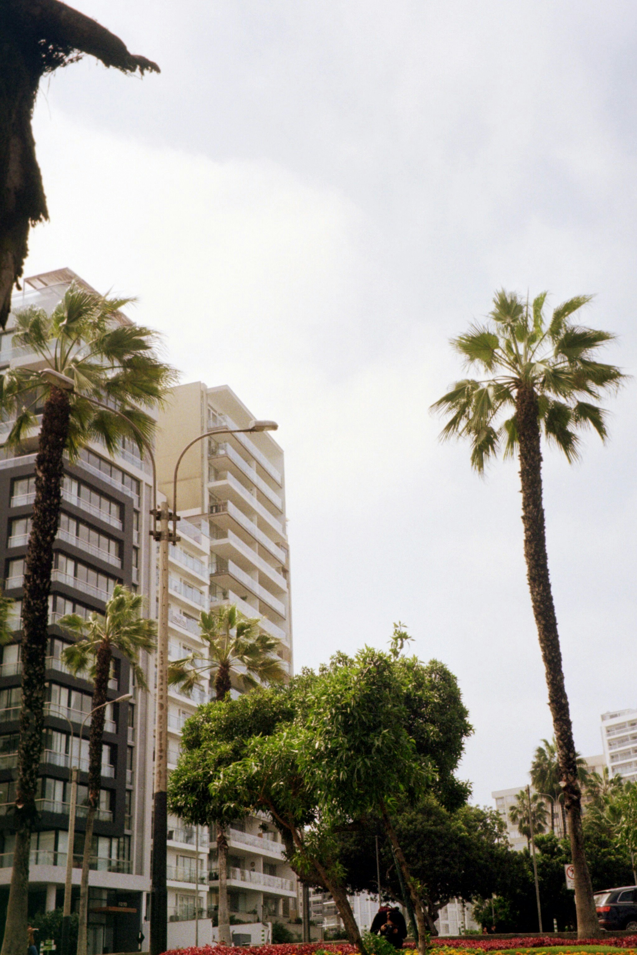 Photo by jaylen_3314