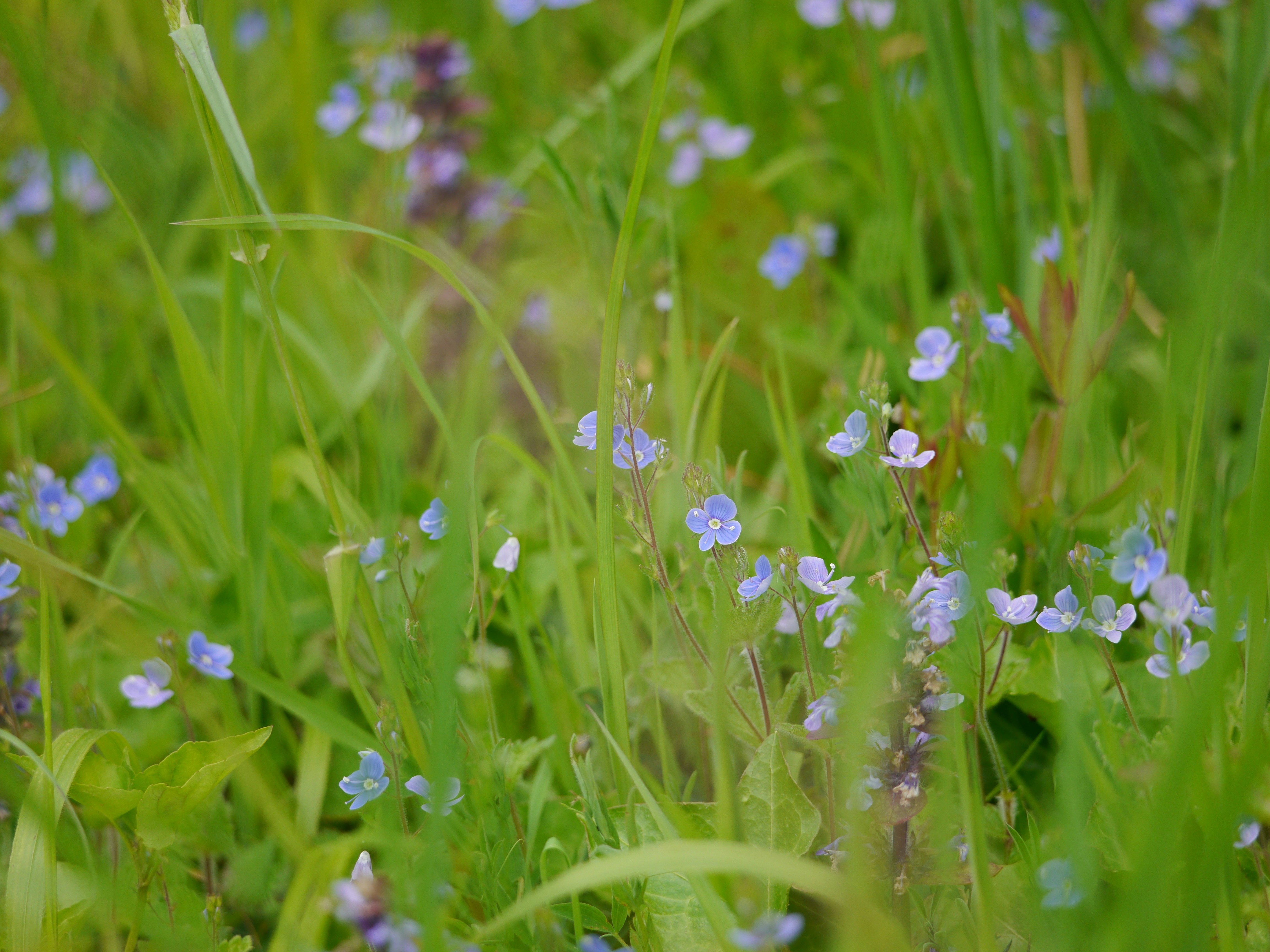 Photo by iqsphotography