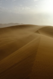 The sun is shining over the sand dunes