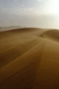 The sun is shining over the sand dunes