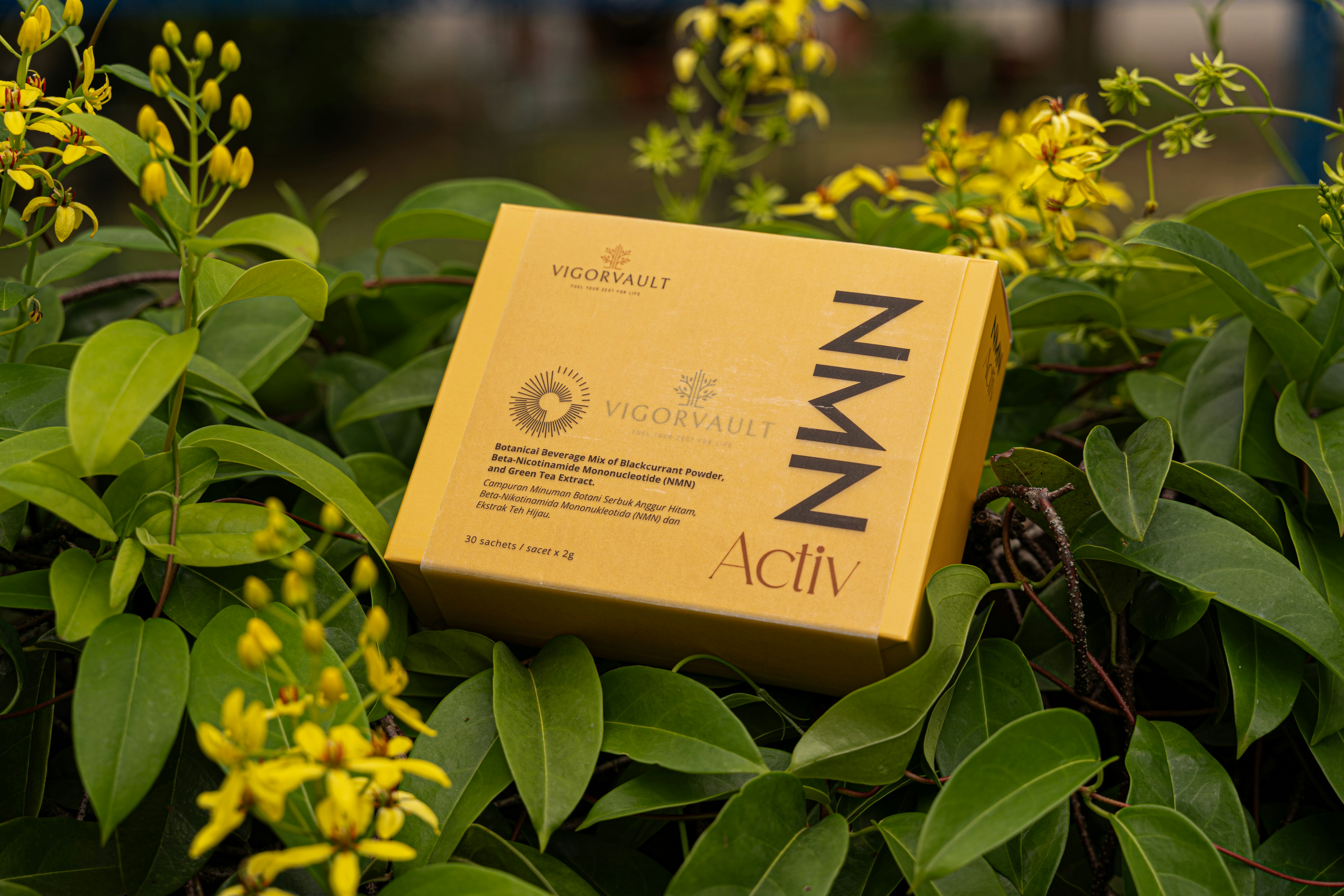 A yellow box sitting on top of a lush green field