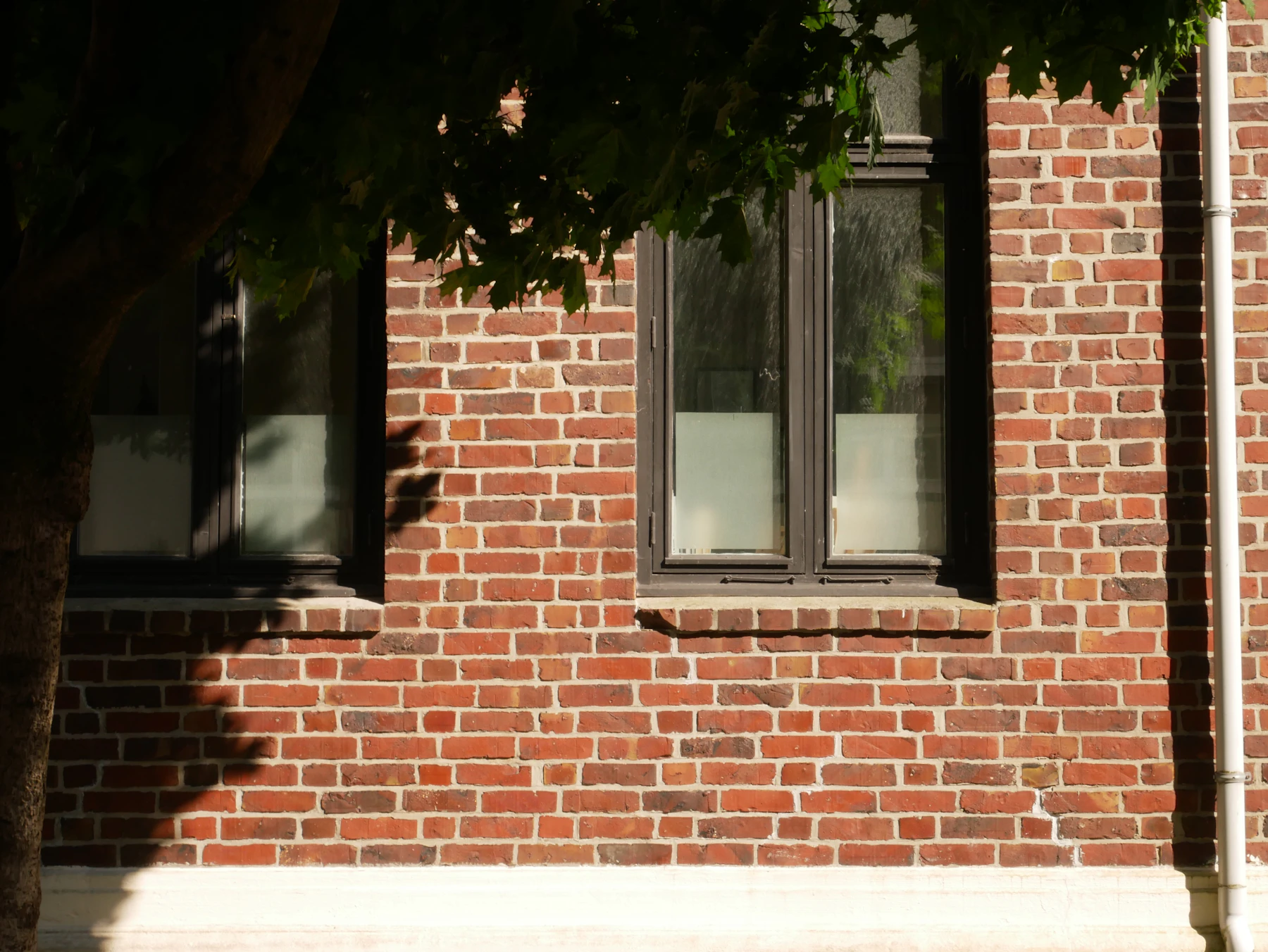 Country property facade in the polders near Knokke