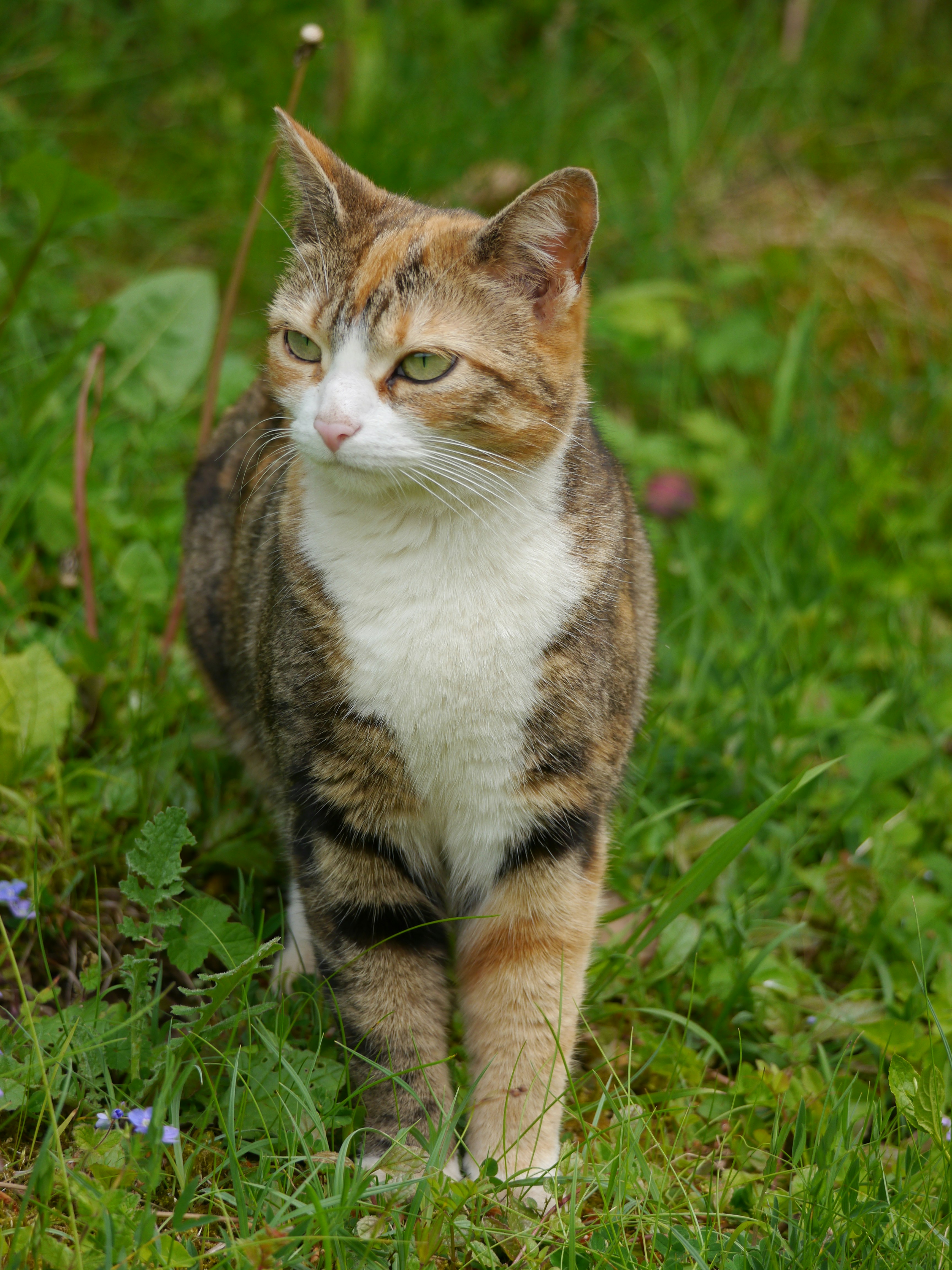 Photo by iqsphotography