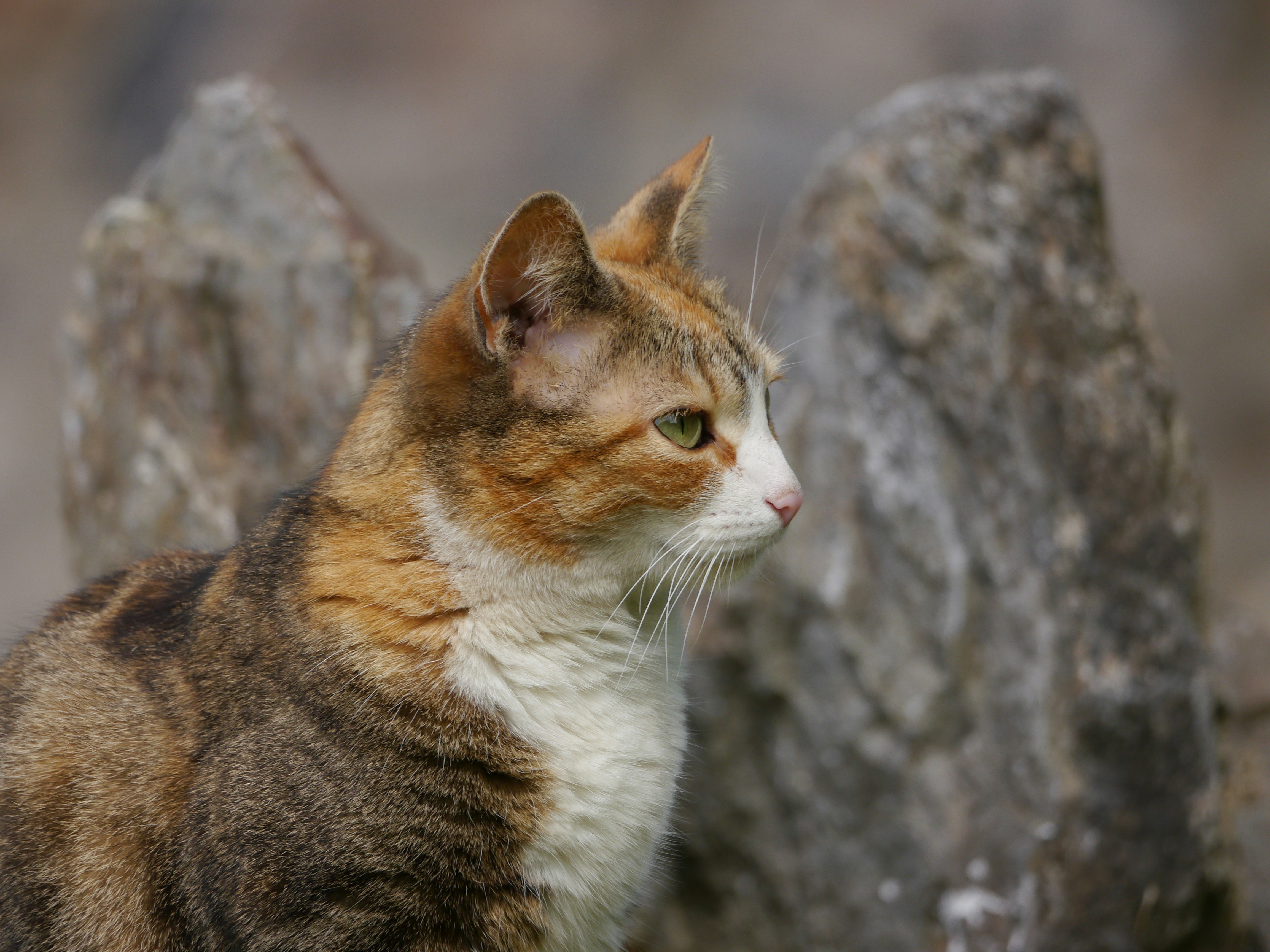 Photo by iqsphotography