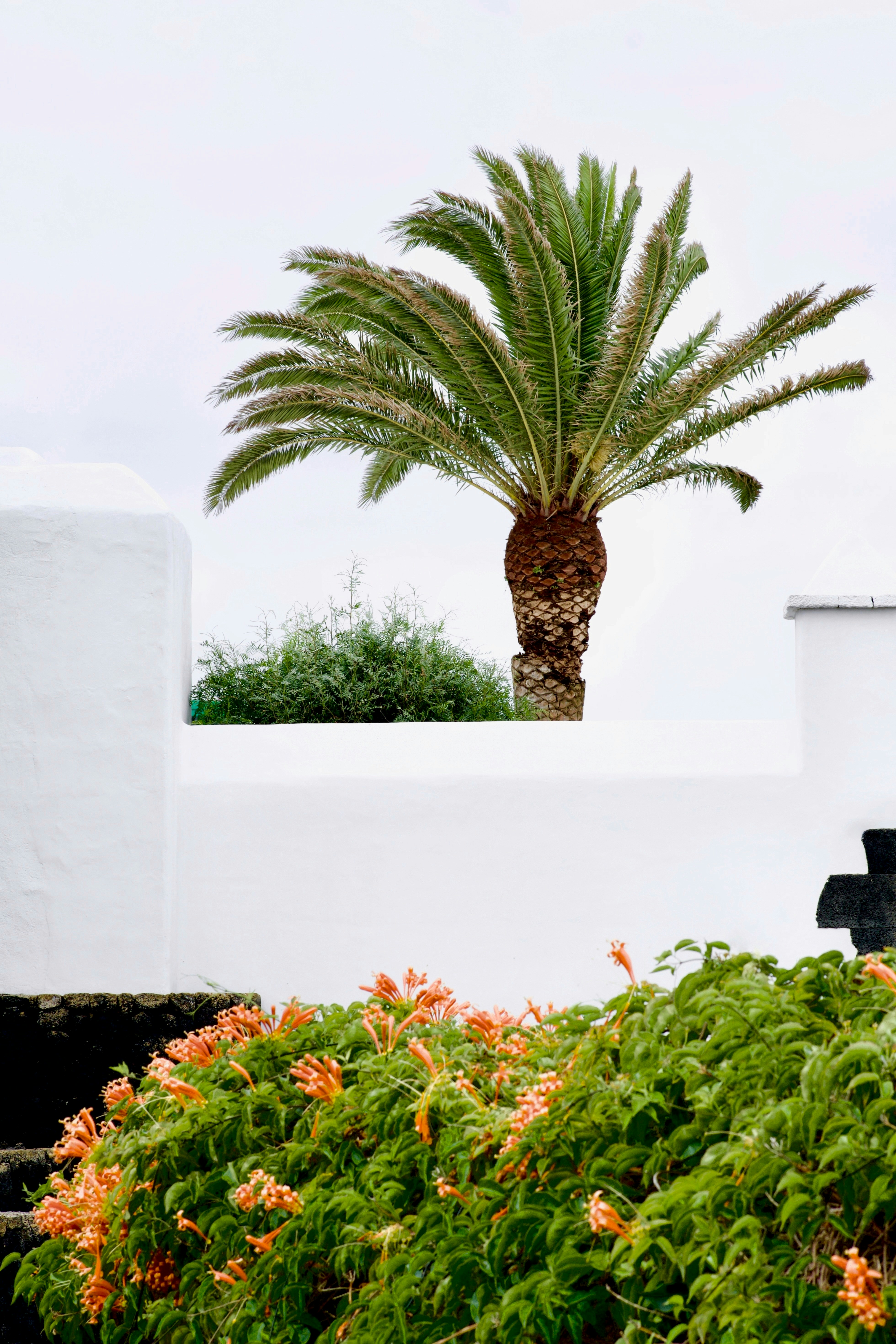 woman wearing yellow long-sleeved dress under white clouds and blue sky during daytime