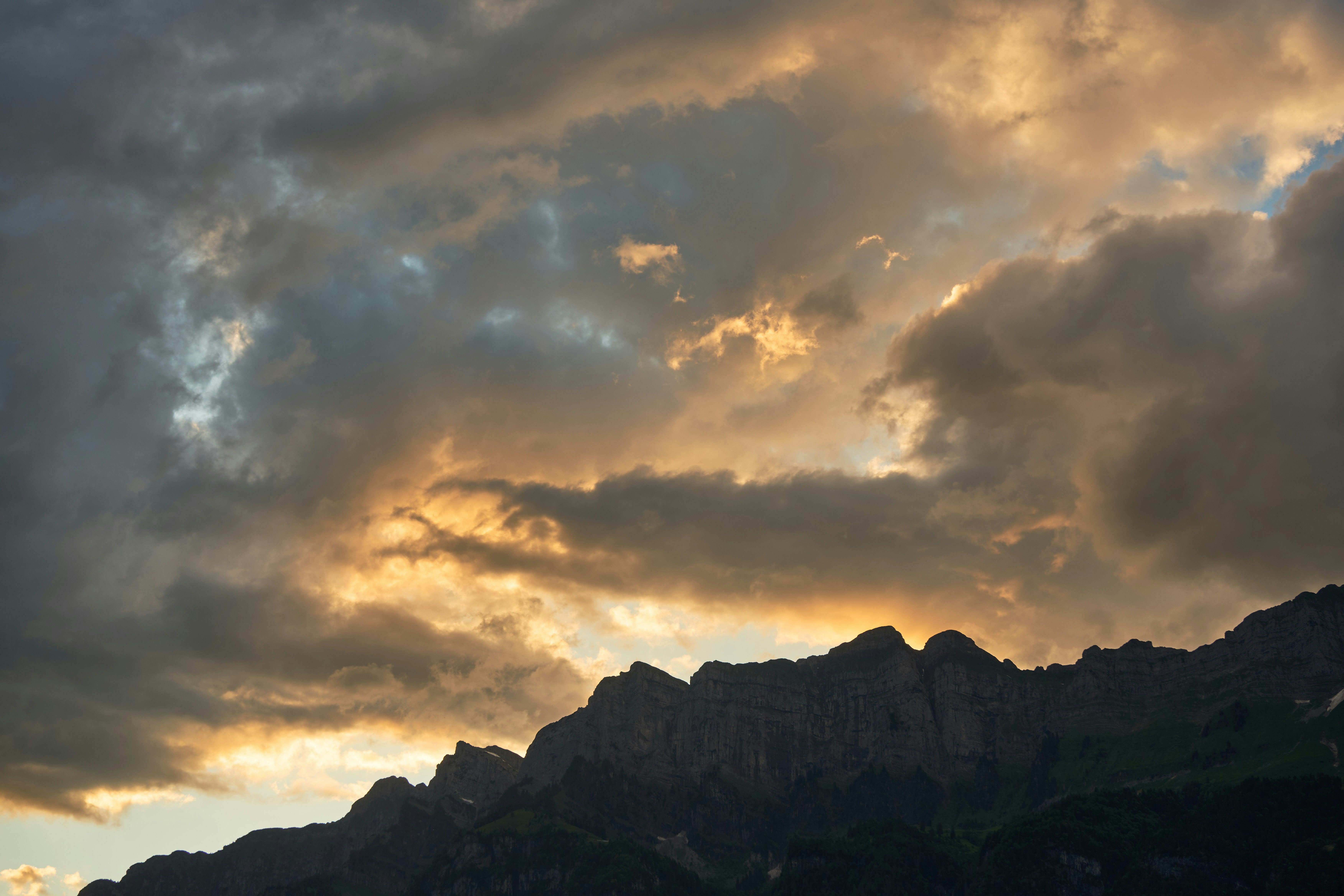 Photo by wolfgang_hasselmann