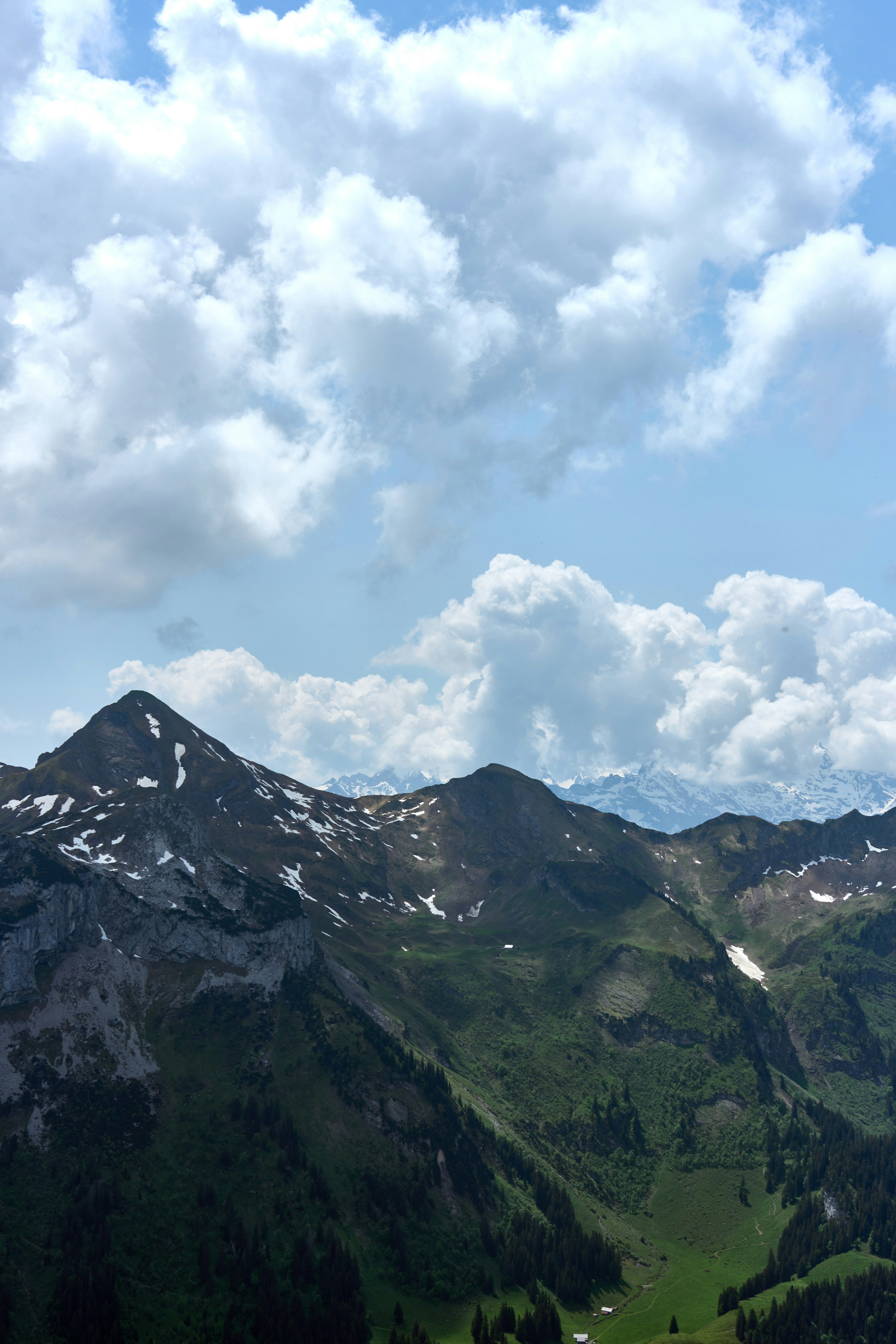 Photo by wolfgang_hasselmann