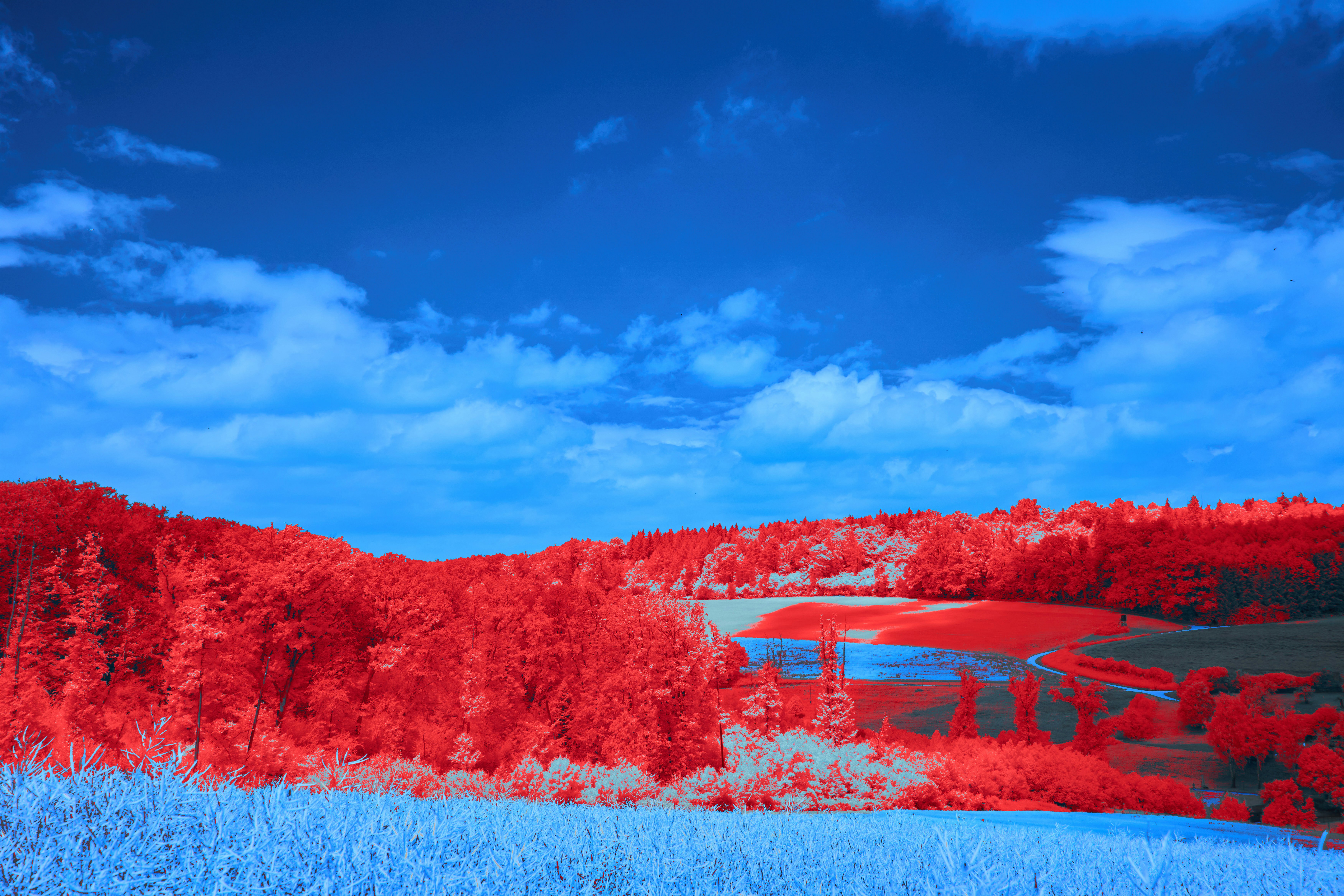 Photo by wolfgang_hasselmann