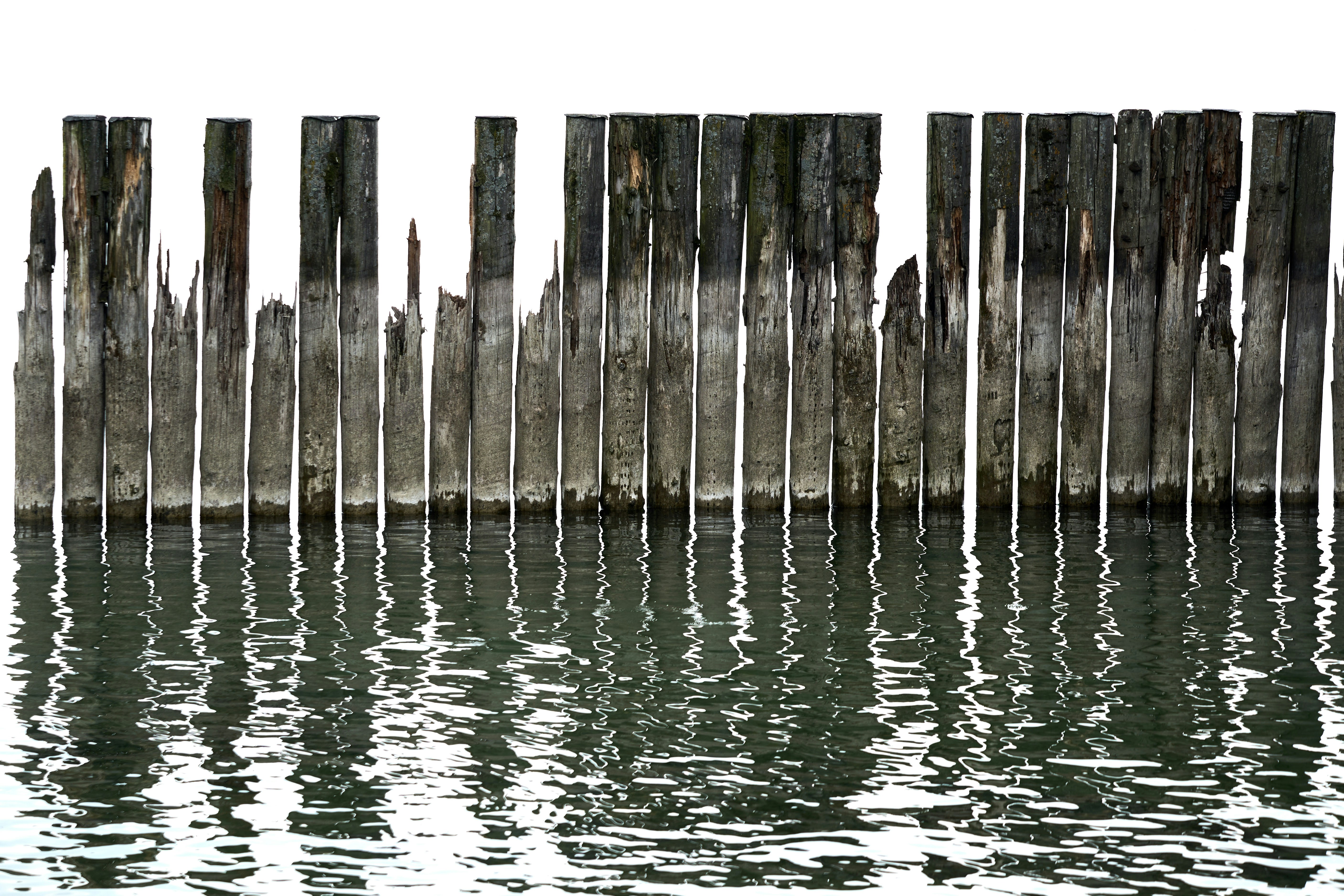 Photo by wolfgang_hasselmann